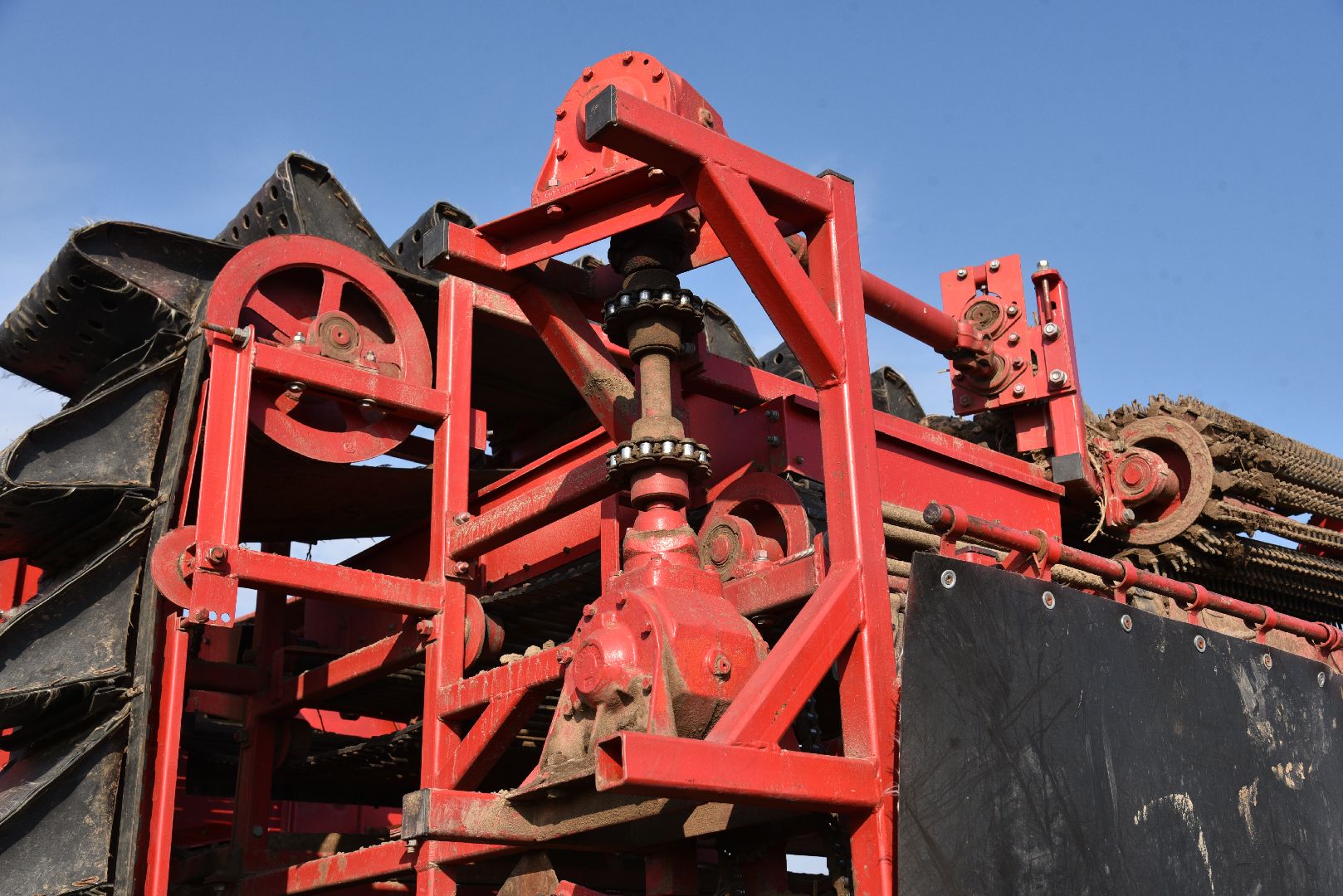 лотошино, сельское хозяйство, картофель,