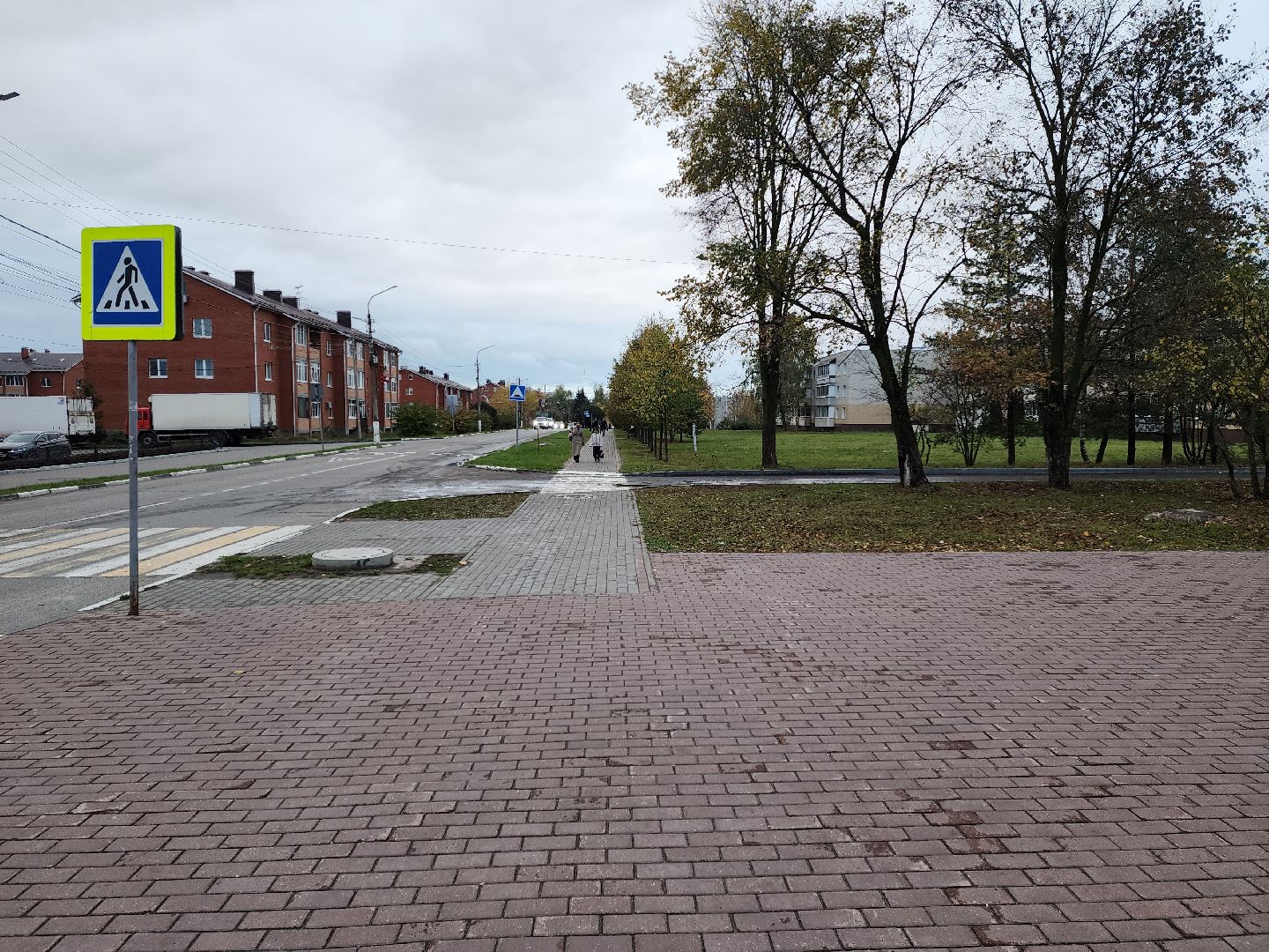 раменское, общество, выездная администрация, софьино,