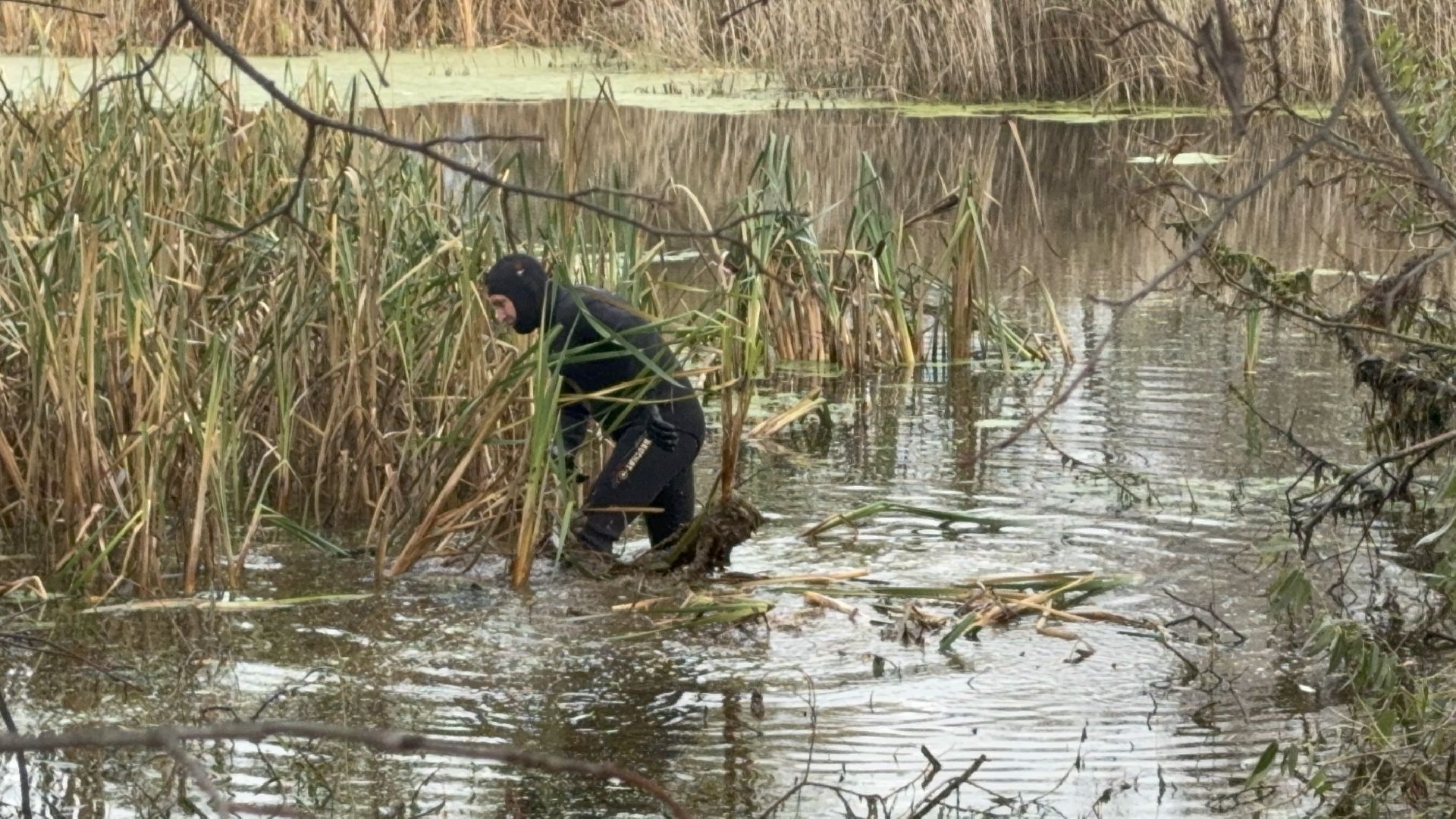 Солнечногорск, Экология, расчистка пруда, мусор, Жители,