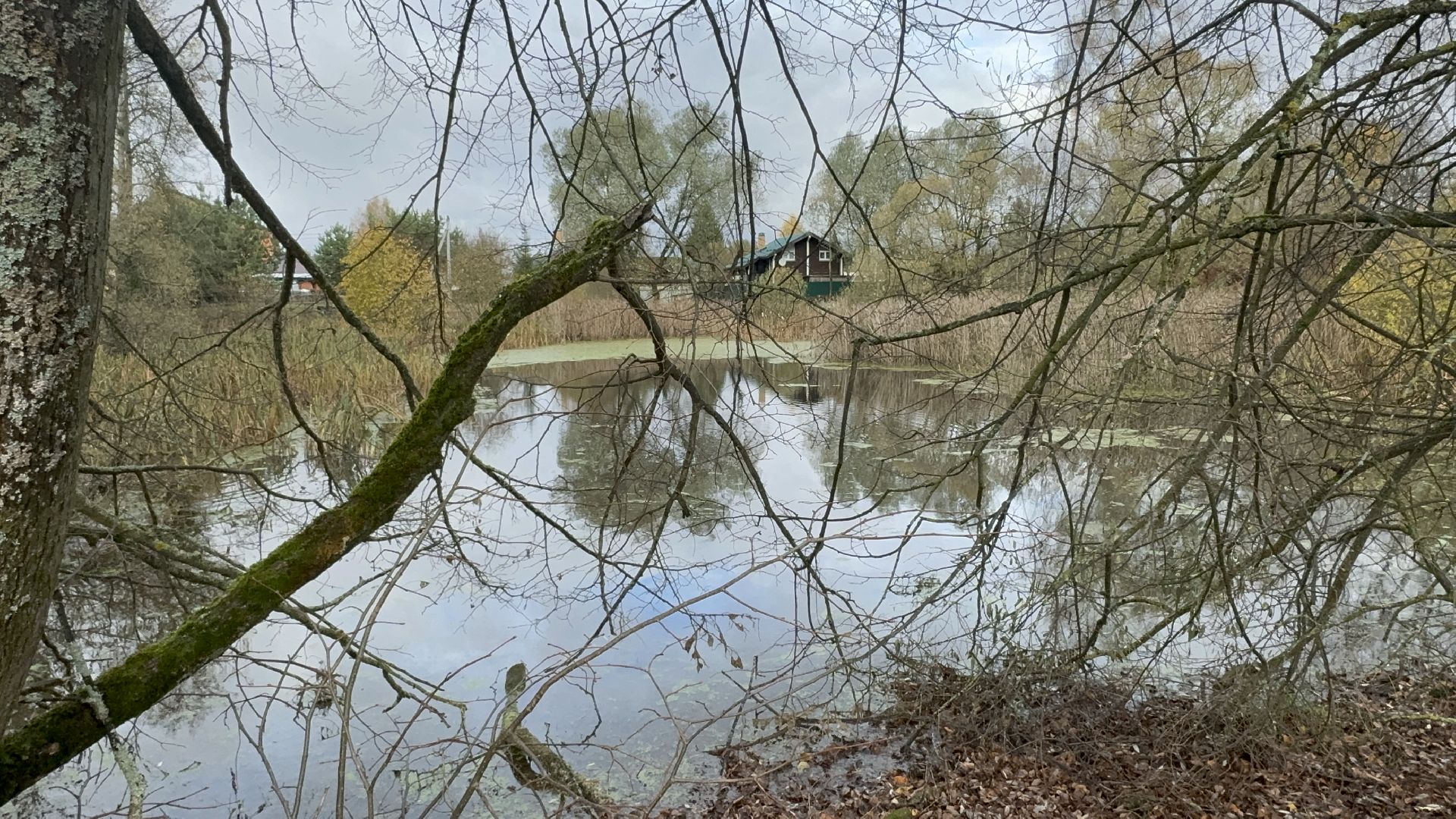 Солнечногорск, Экология, расчистка пруда, мусор, Жители,