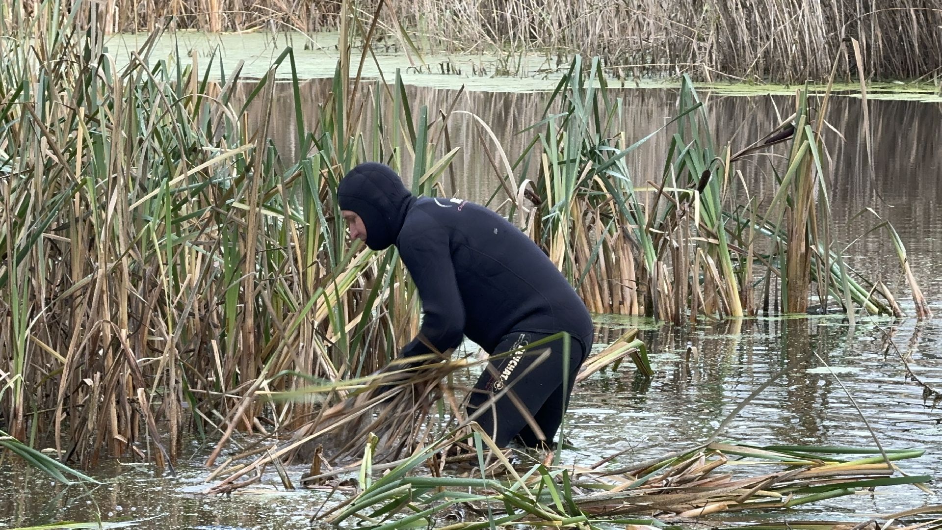 Солнечногорск, Экология, расчистка пруда, мусор, Жители,