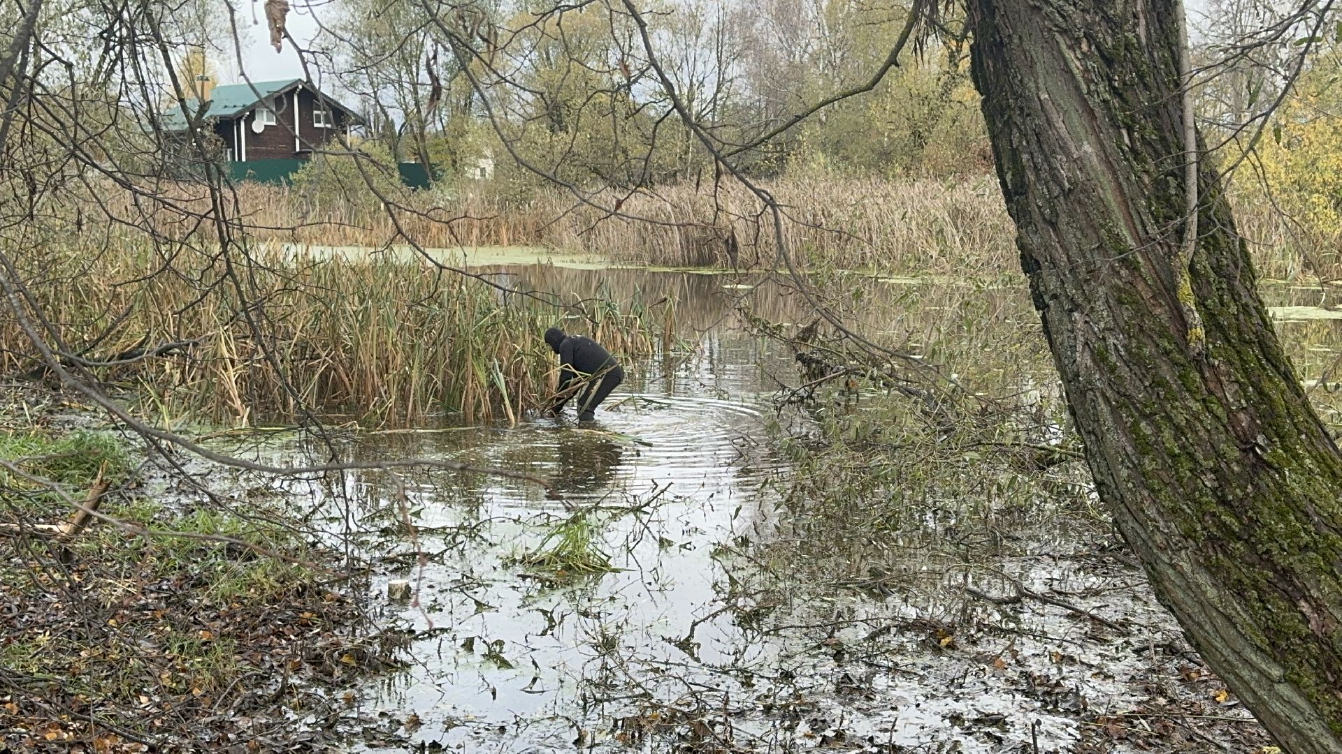 Солнечногорск, Экология, расчистка пруда, мусор, Жители,