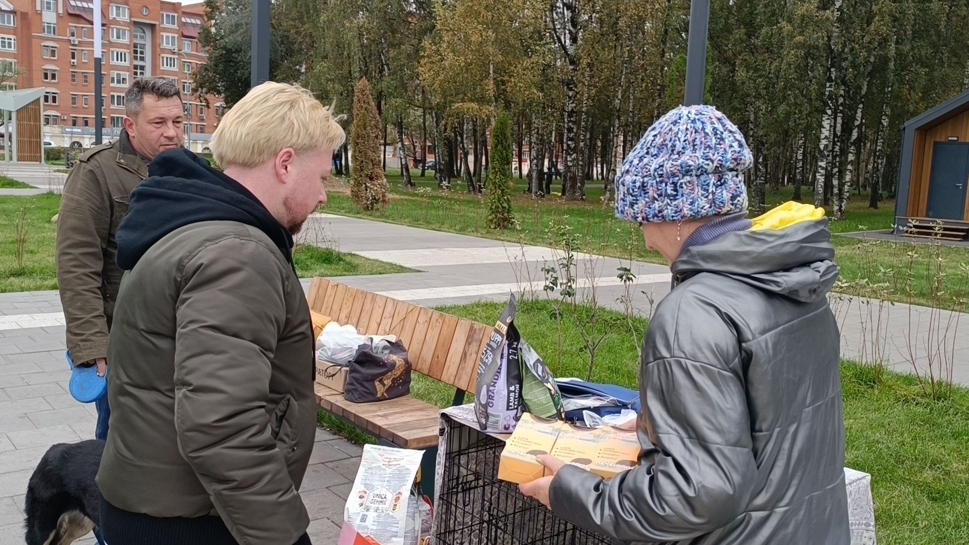 собака, парк, лобня,