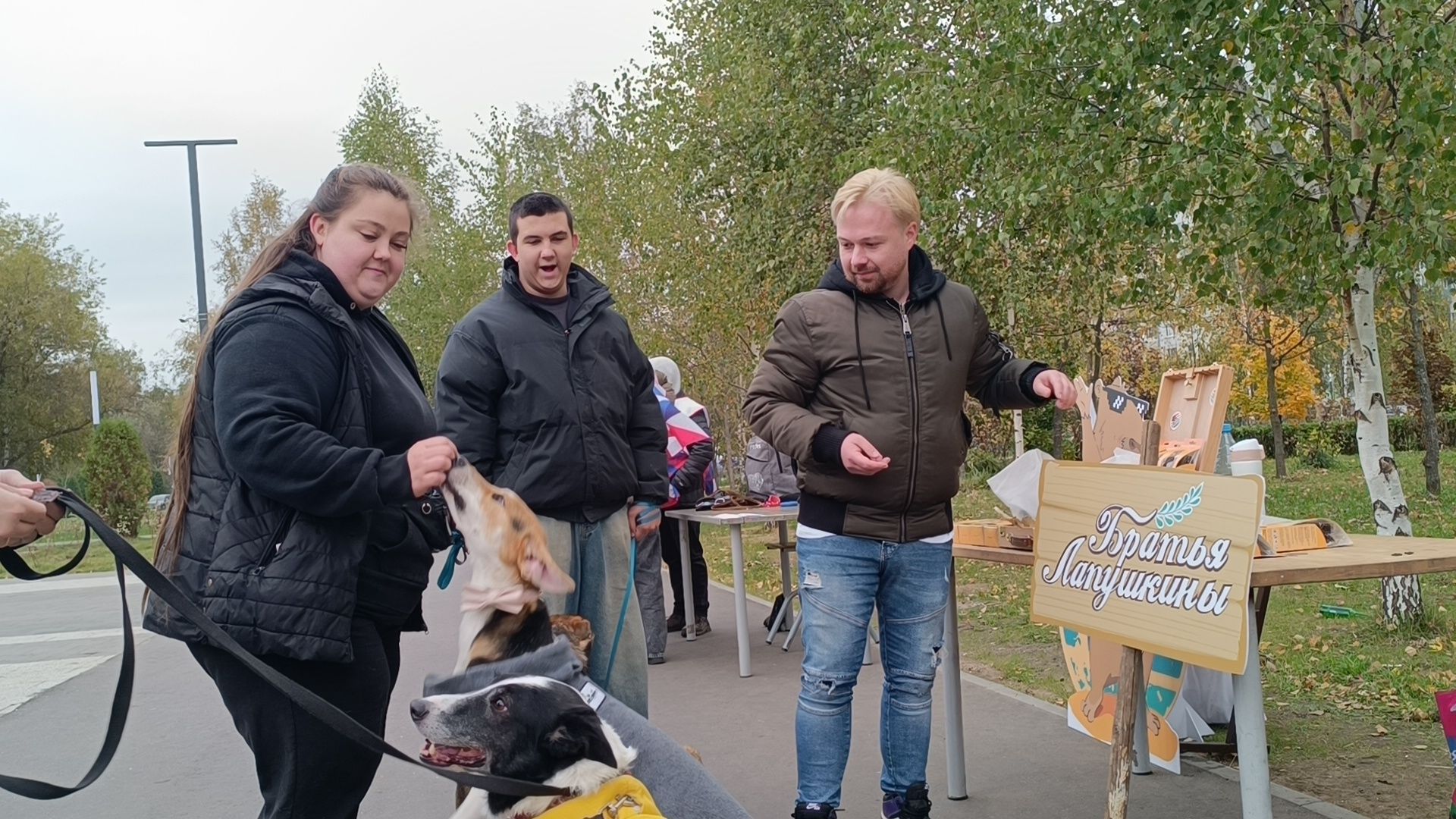 собака, парк, лобня,