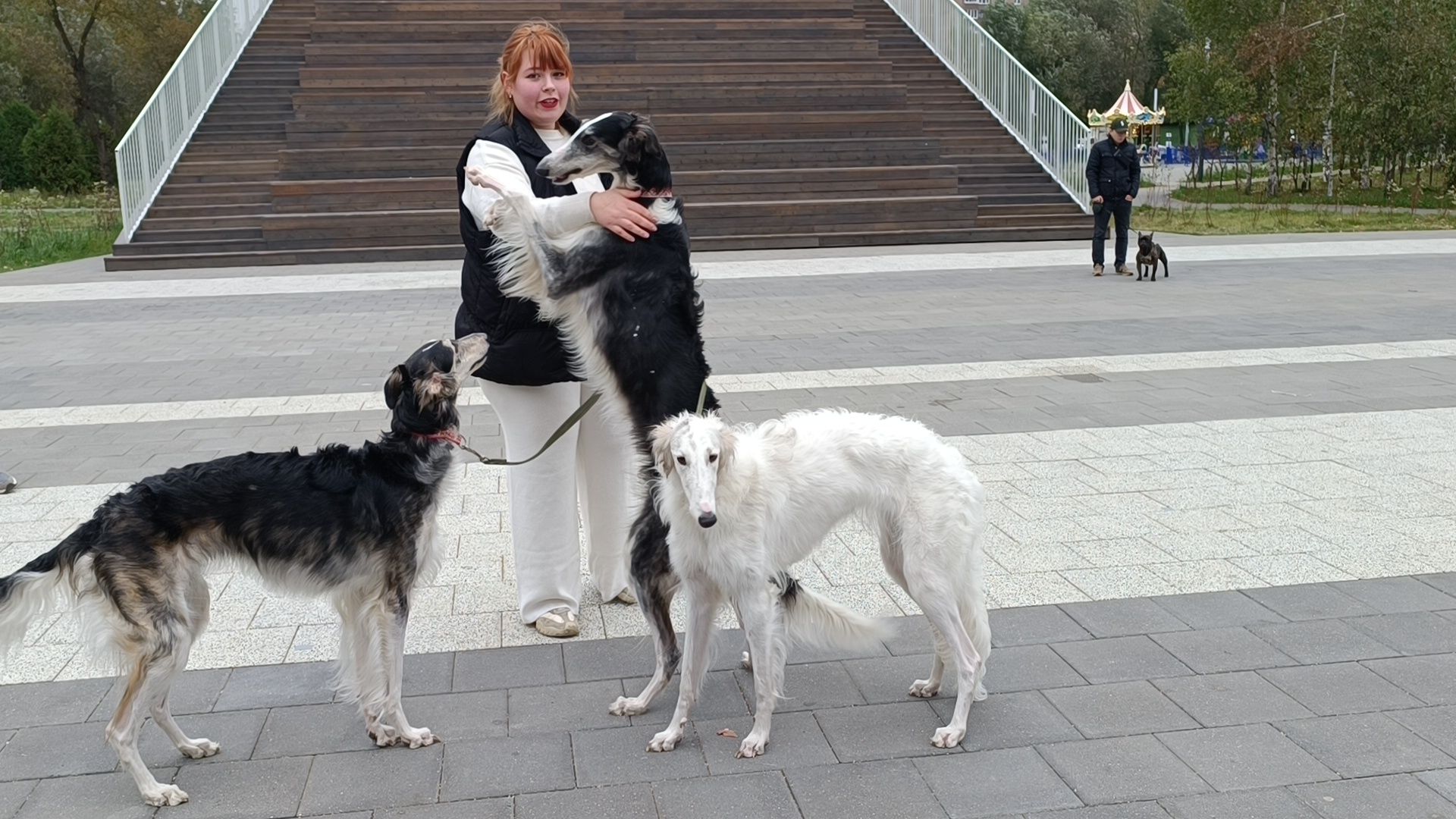 собака, парк, лобня,