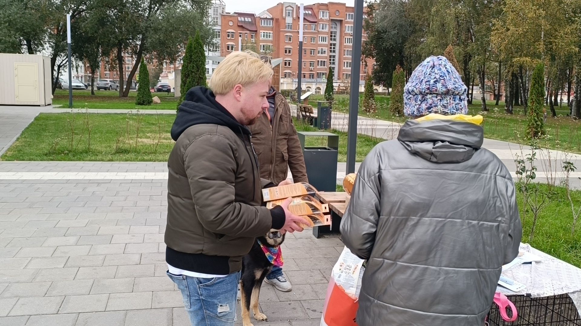 собака, парк, лобня,