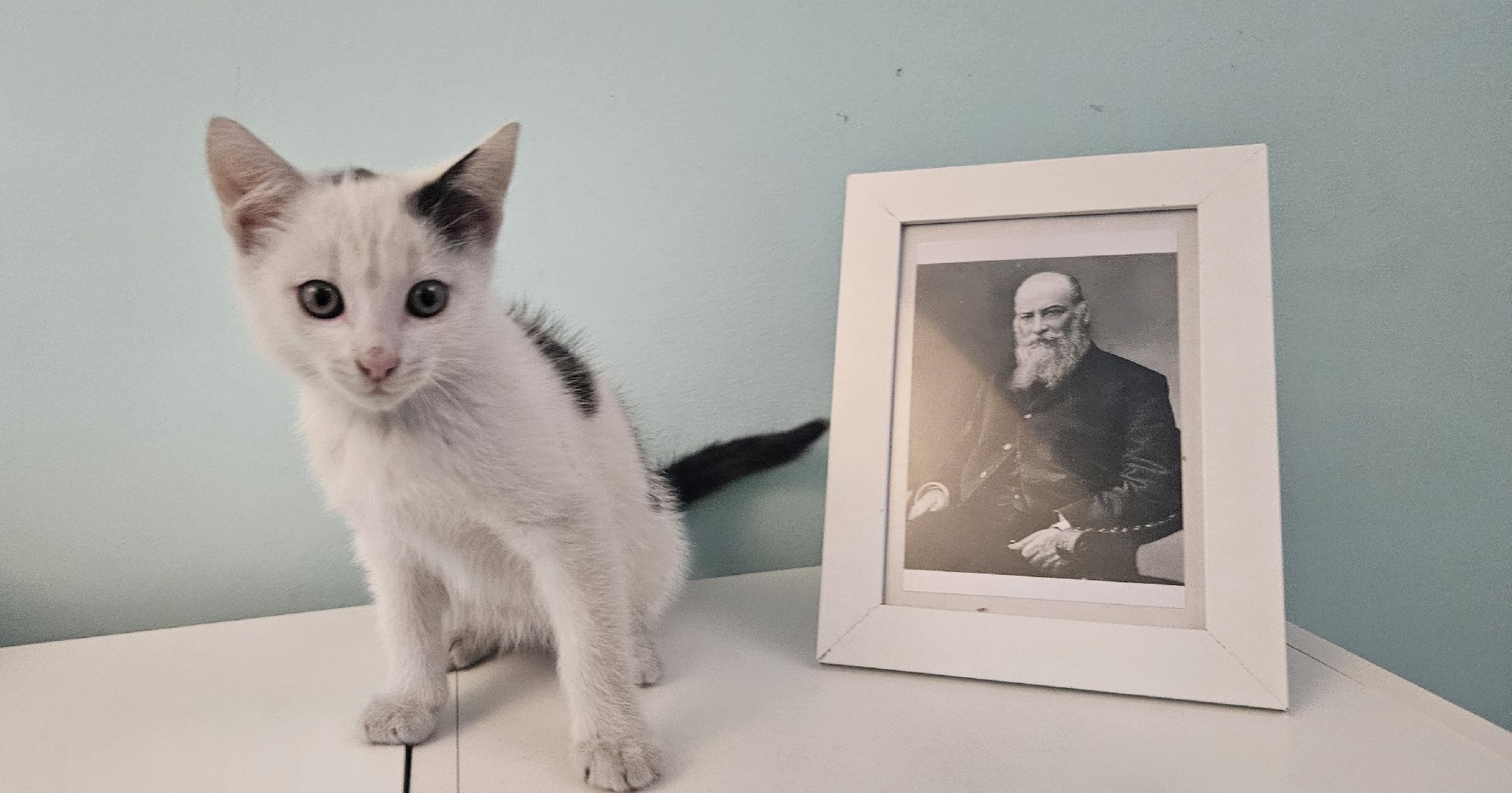 культура, образование, детская библиотека, Жуковский, музей,