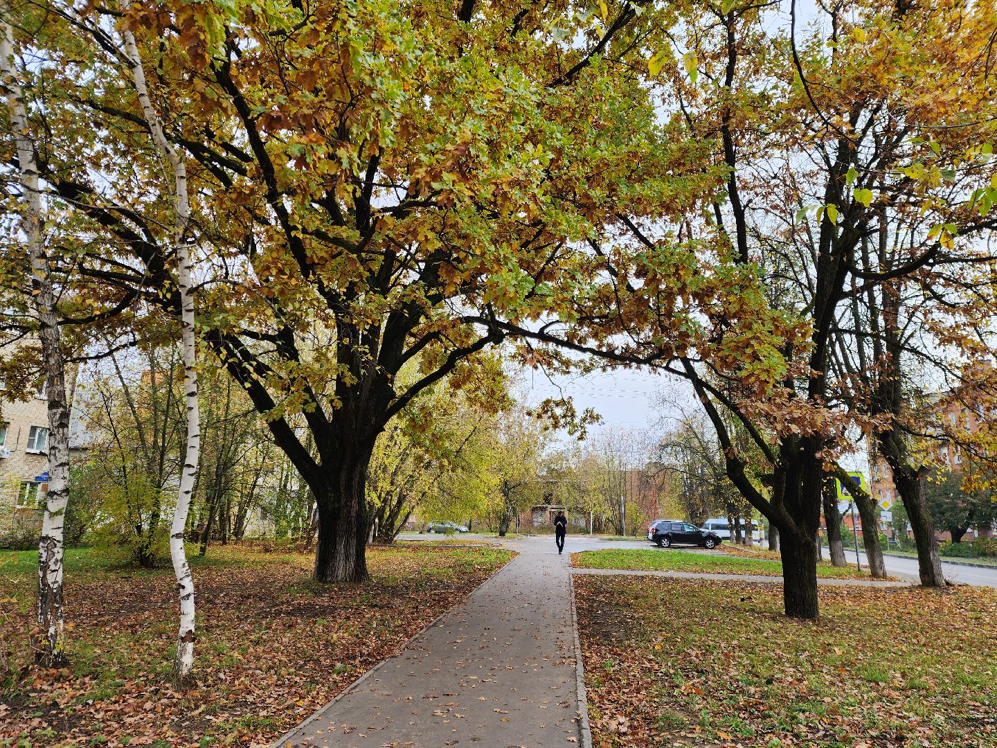 благоустойство, жители, общество, власть, оперативный объезд, памятник живой природы, достопримечательность,