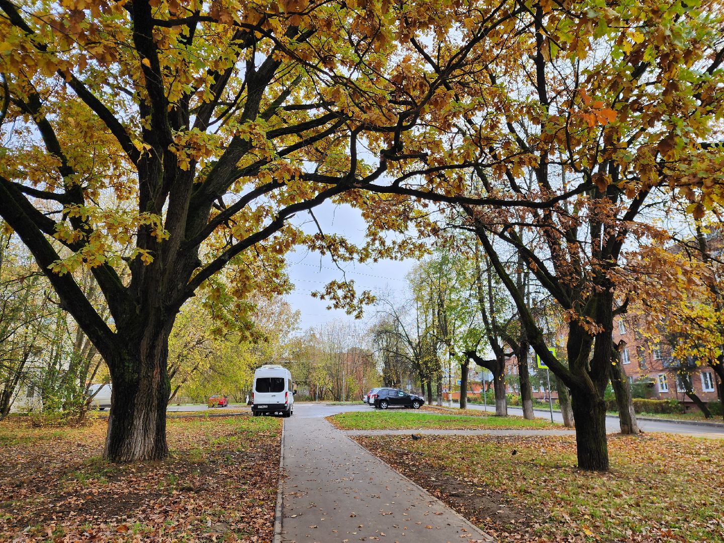 благоустойство, жители, общество, власть, оперативный объезд, памятник живой природы, достопримечательность,