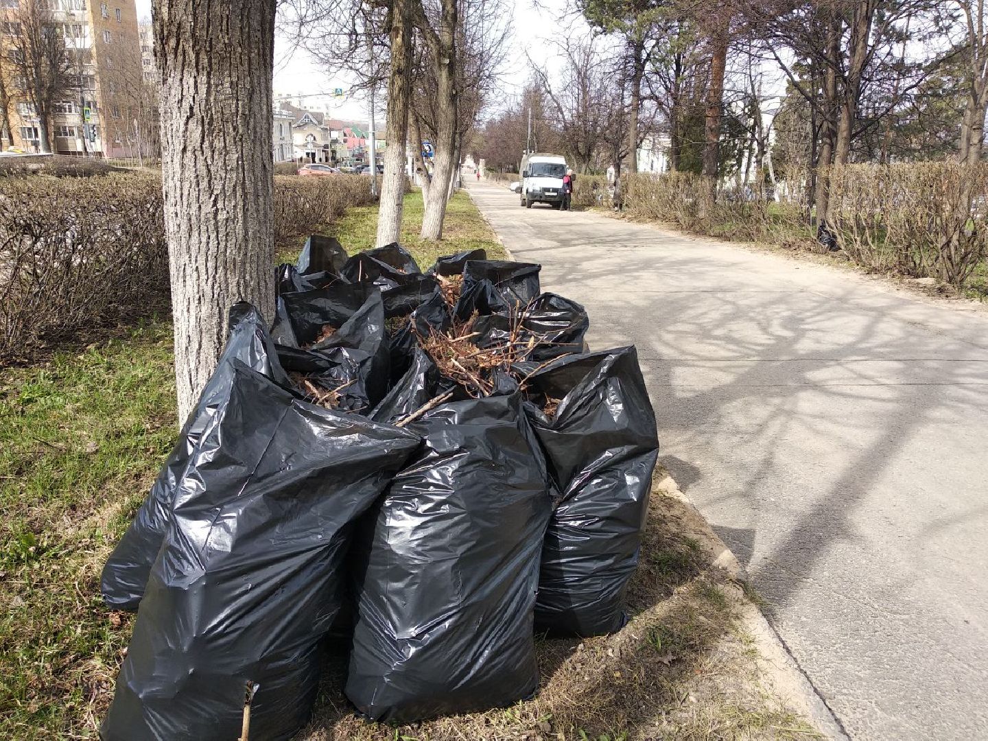 Дмитров, Благоустройство, Министерство ЖКХ МО