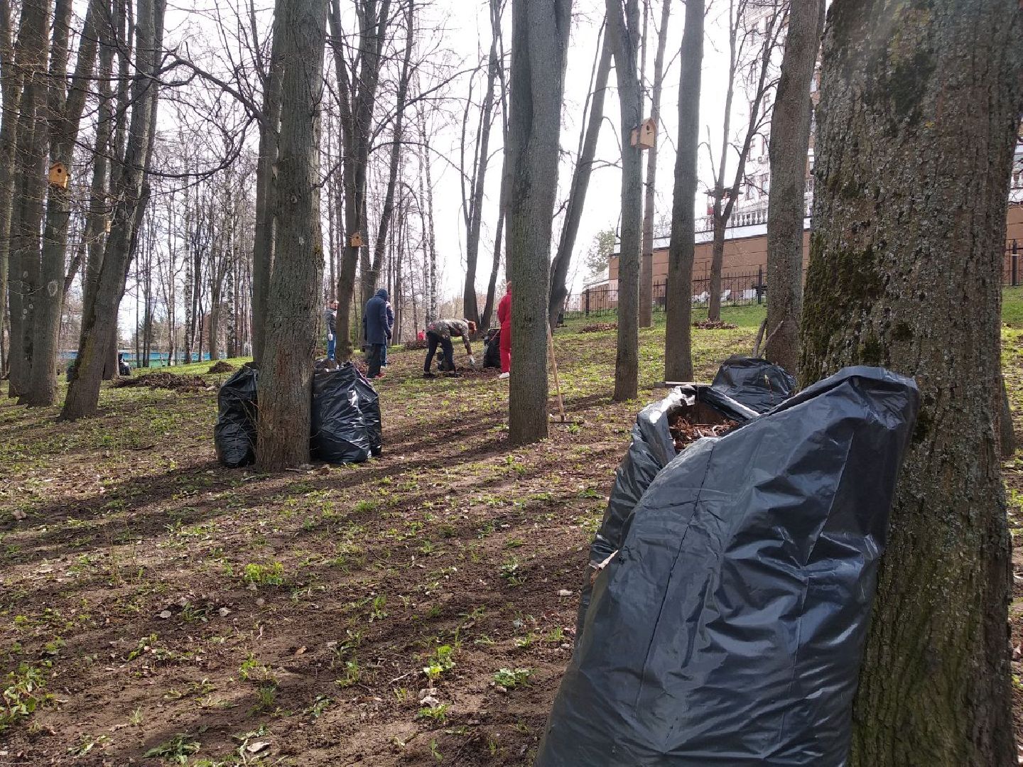 Дмитров, Благоустройство, Министерство ЖКХ МО