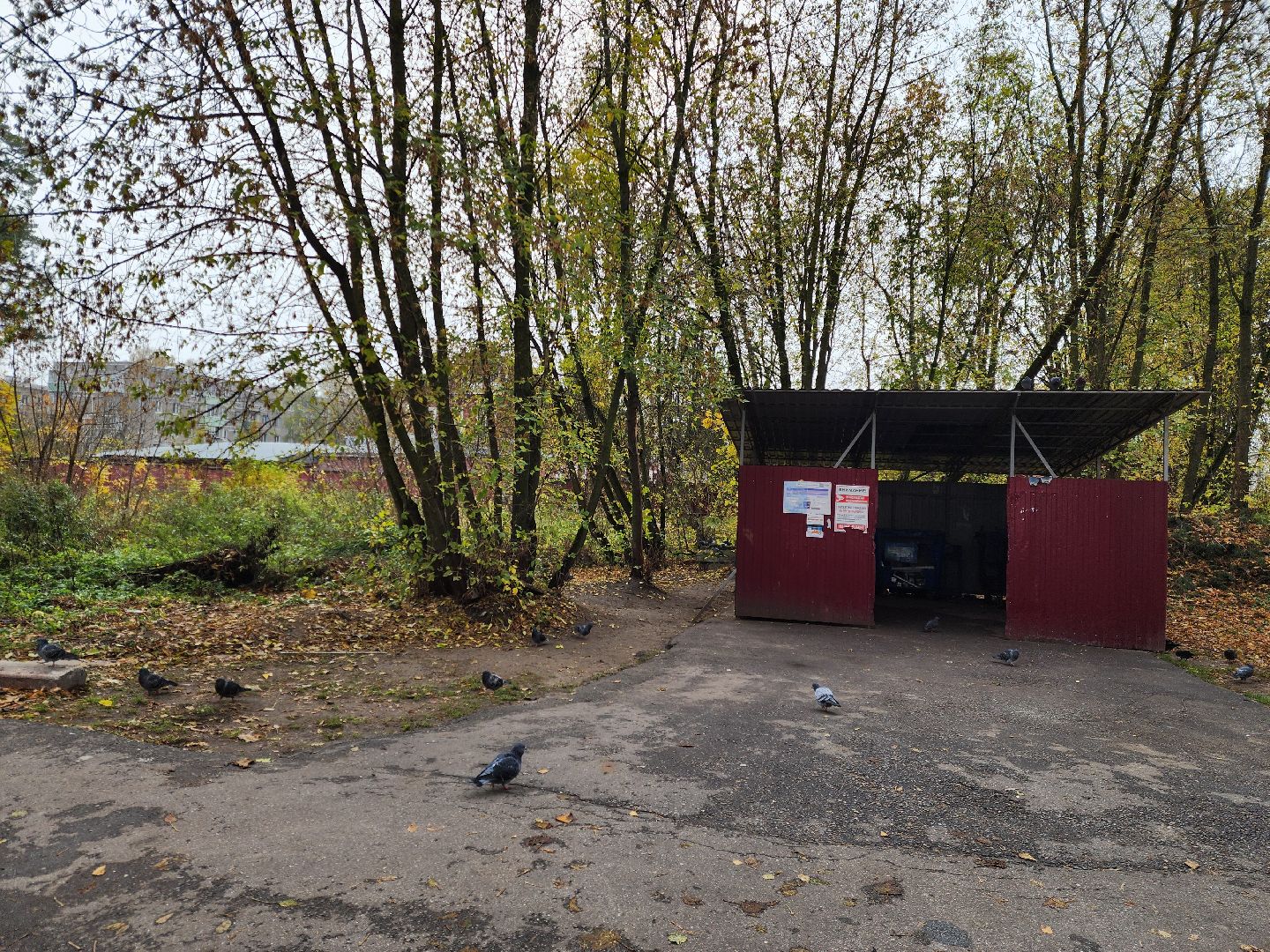 ногинск, жители, общество, оперативный выезд, глава, власть, контейнерная площадка, управляющая компания,