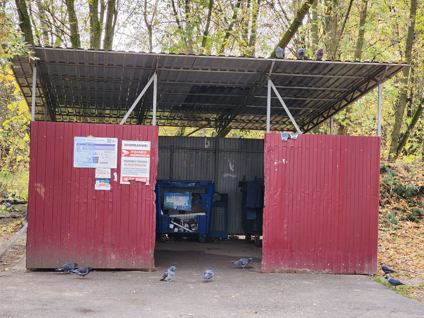 ногинск, жители, общество, оперативный выезд, глава, власть, контейнерная площадка, управляющая компания,