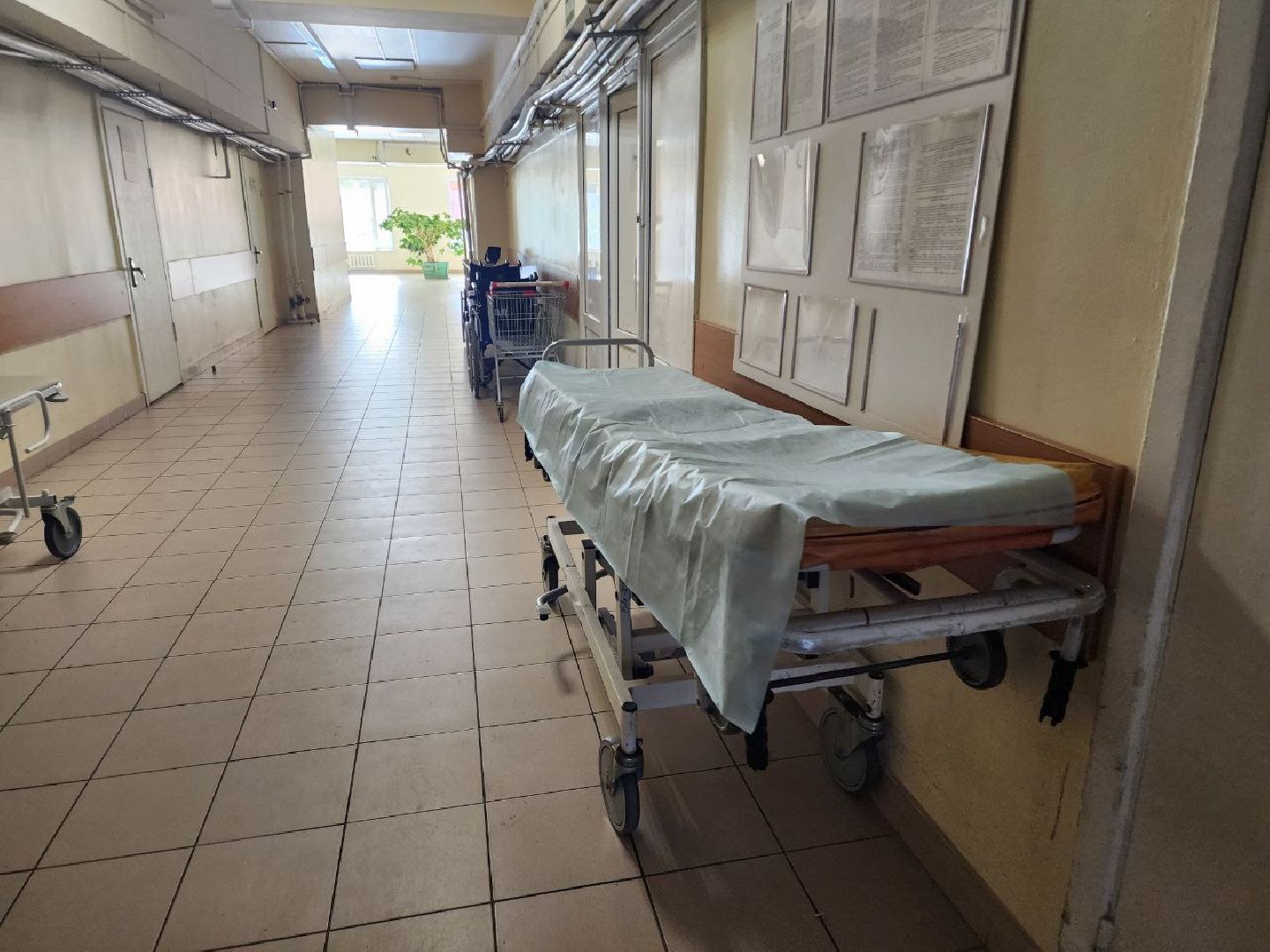 пущино, серпухов, медицина,