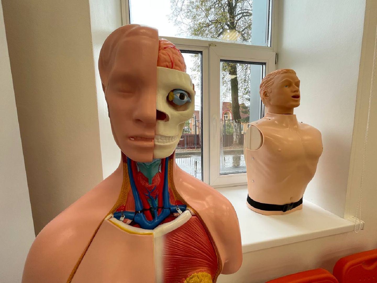 Дмитров, Дмитровский техникум,