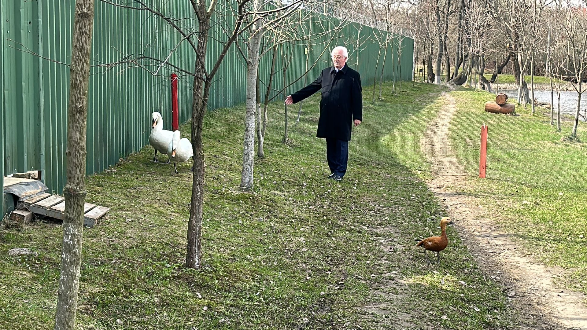 Солманово, Одинцово, Благоустройство, Экология