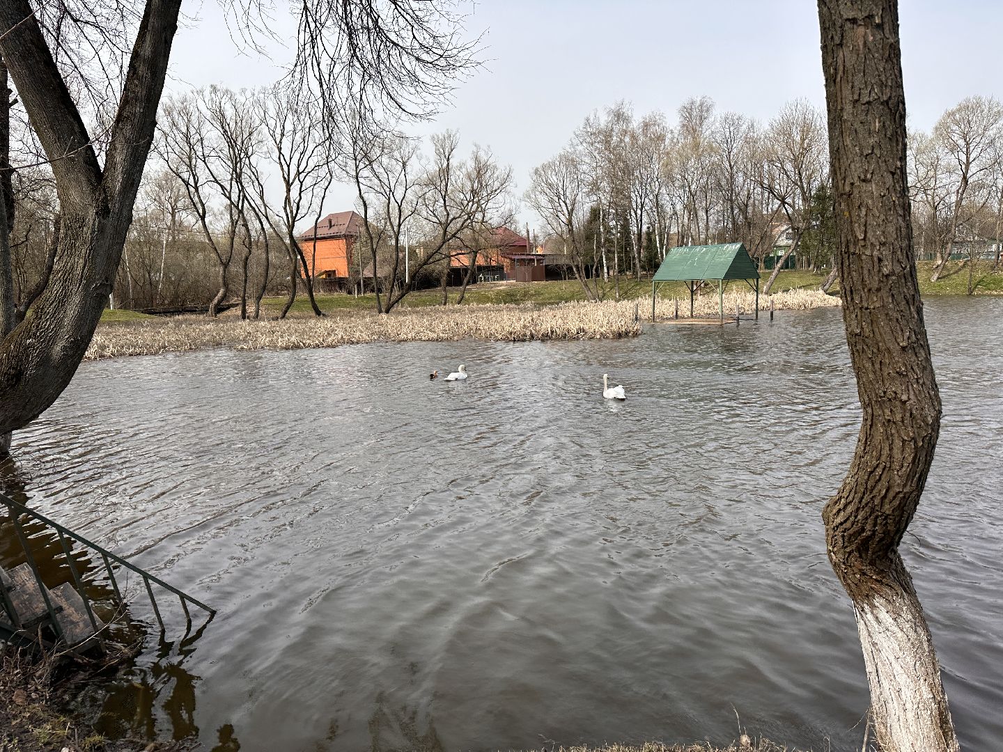 Солманово, Одинцово, Благоустройство, Экология