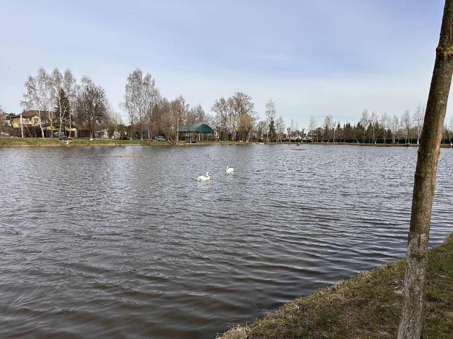 Солманово, Одинцово, Благоустройство, Экология