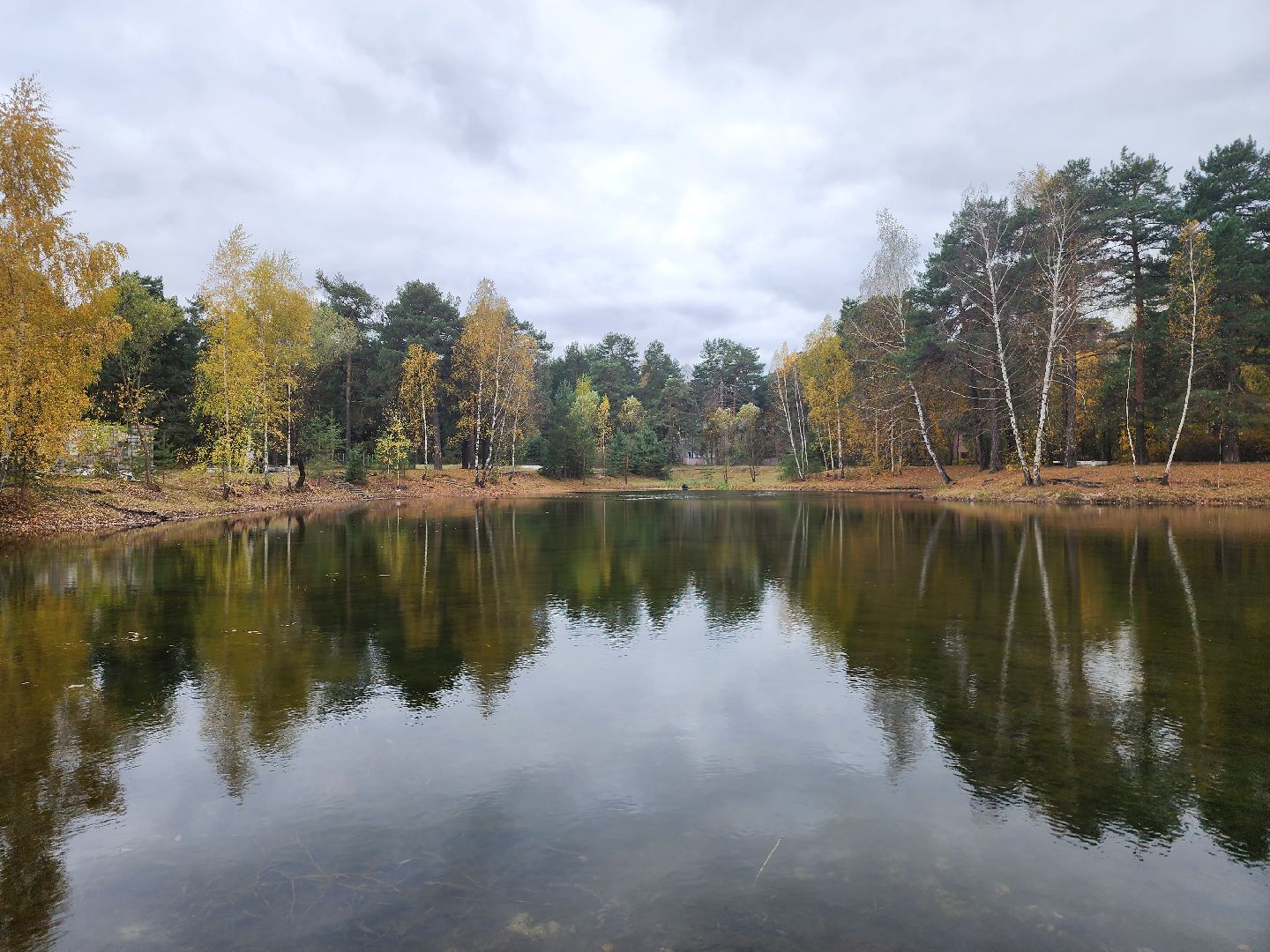 Коломна, благоустройство, очистка водоемов, пруды,