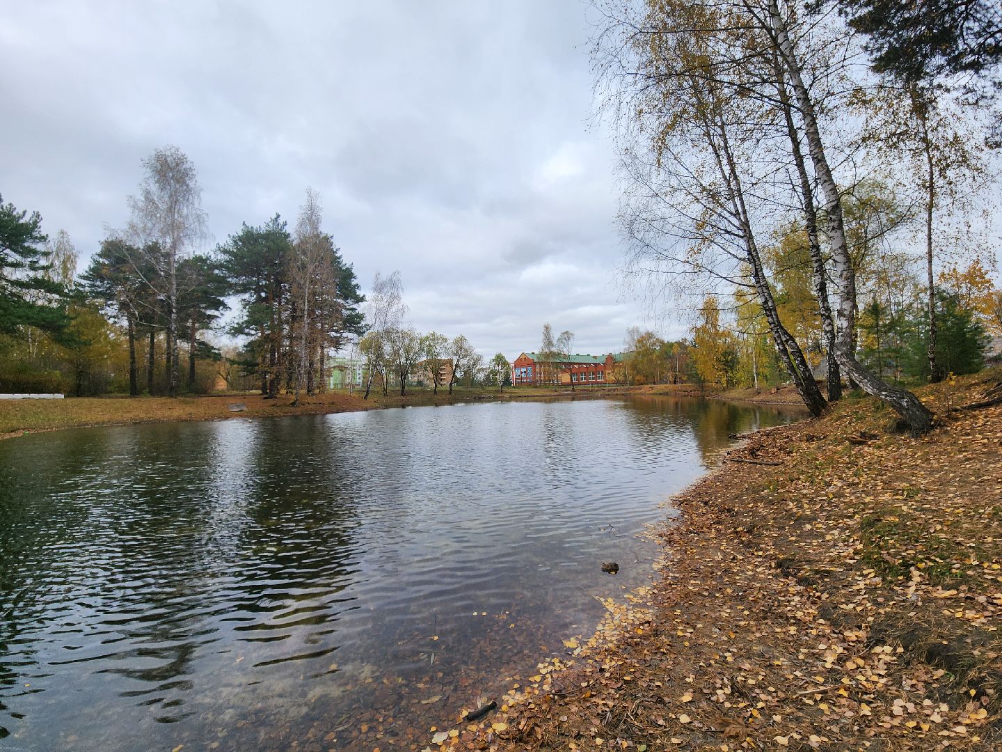 Коломна, благоустройство, очистка водоемов, пруды,
