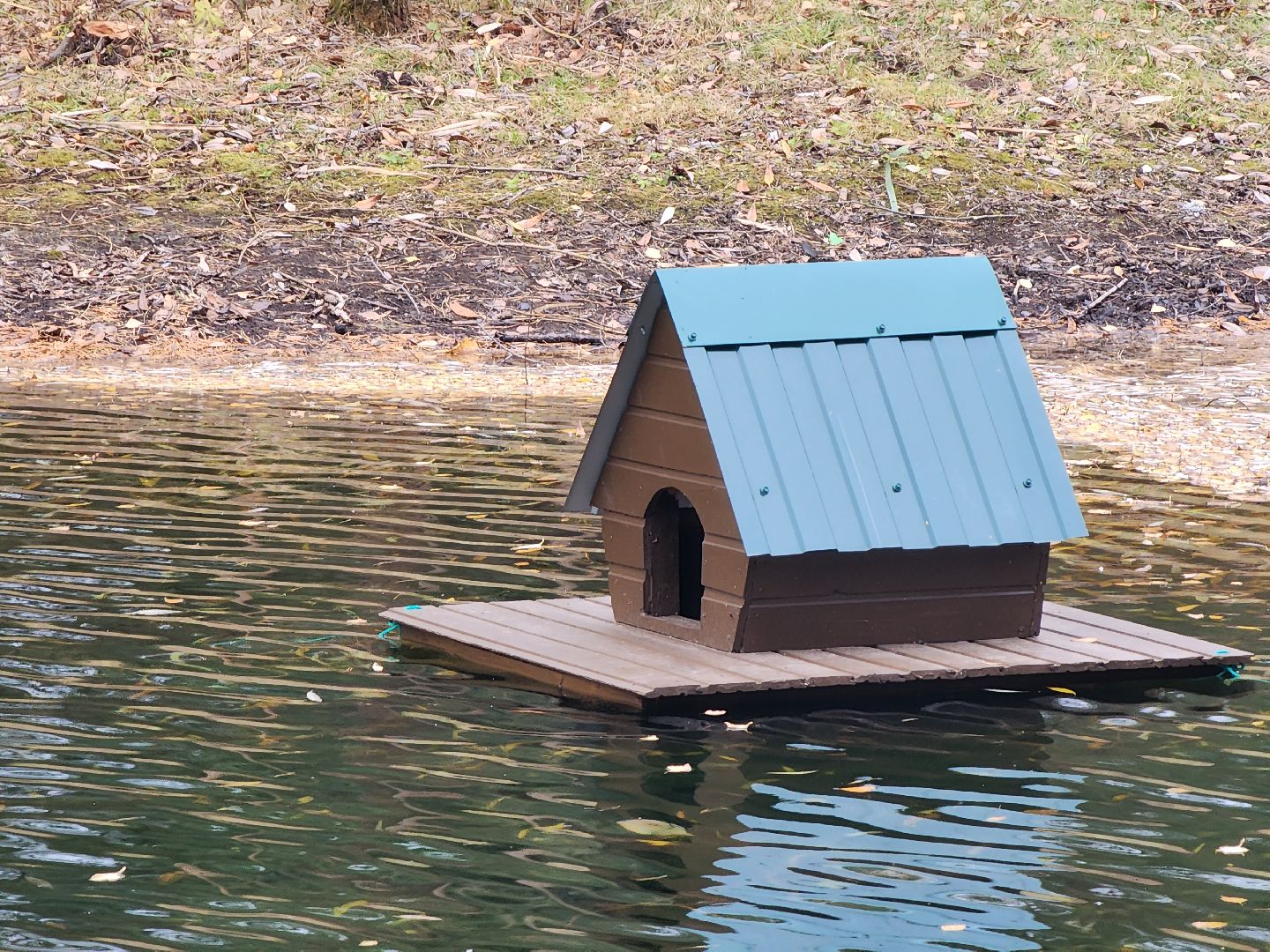 Коломна, благоустройство, очистка водоемов, пруды,
