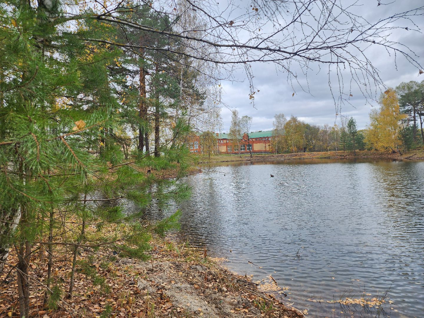 Коломна, благоустройство, очистка водоемов, пруды,