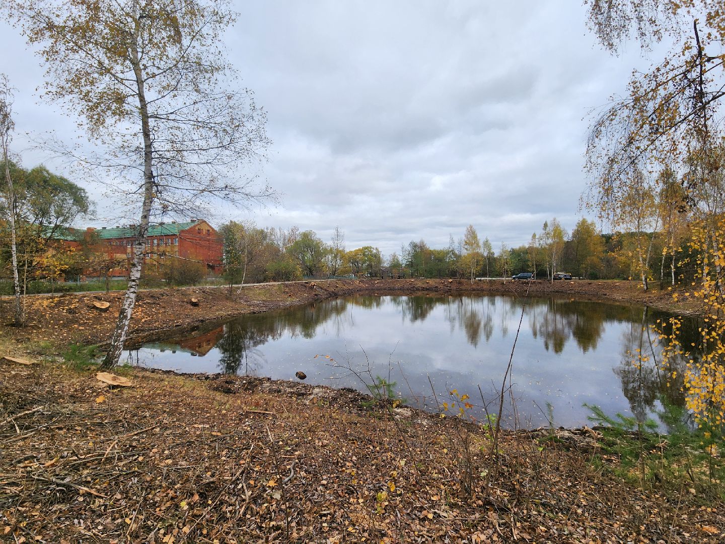 Коломна, благоустройство, очистка водоемов, пруды,