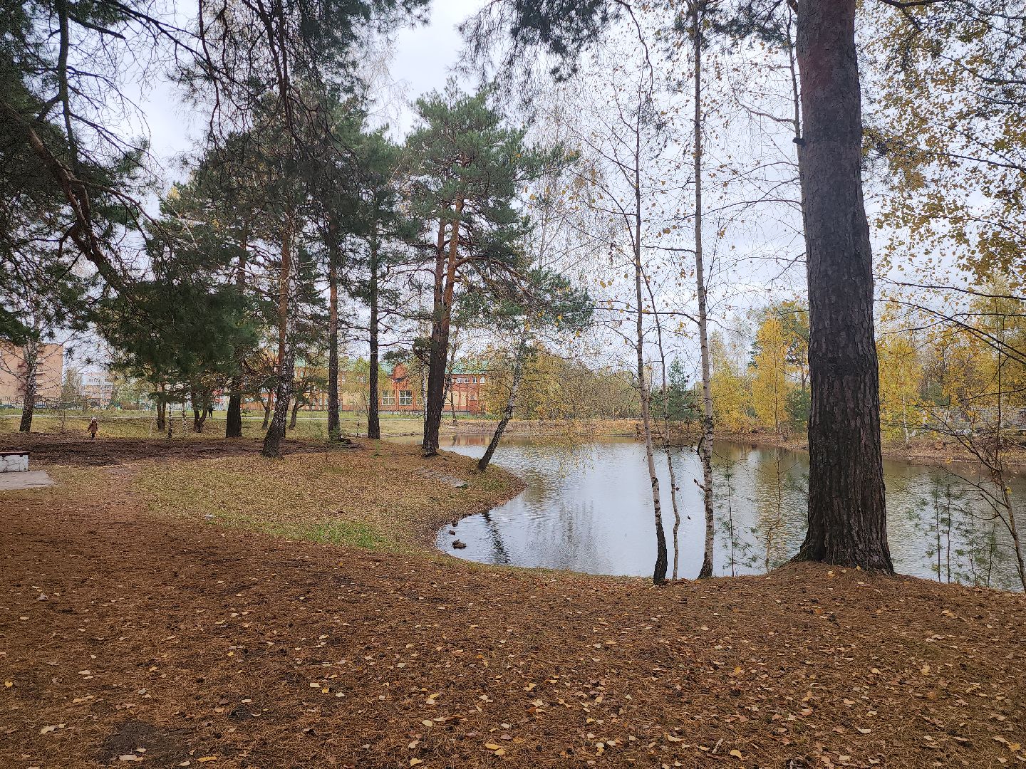 Коломна, благоустройство, очистка водоемов, пруды,