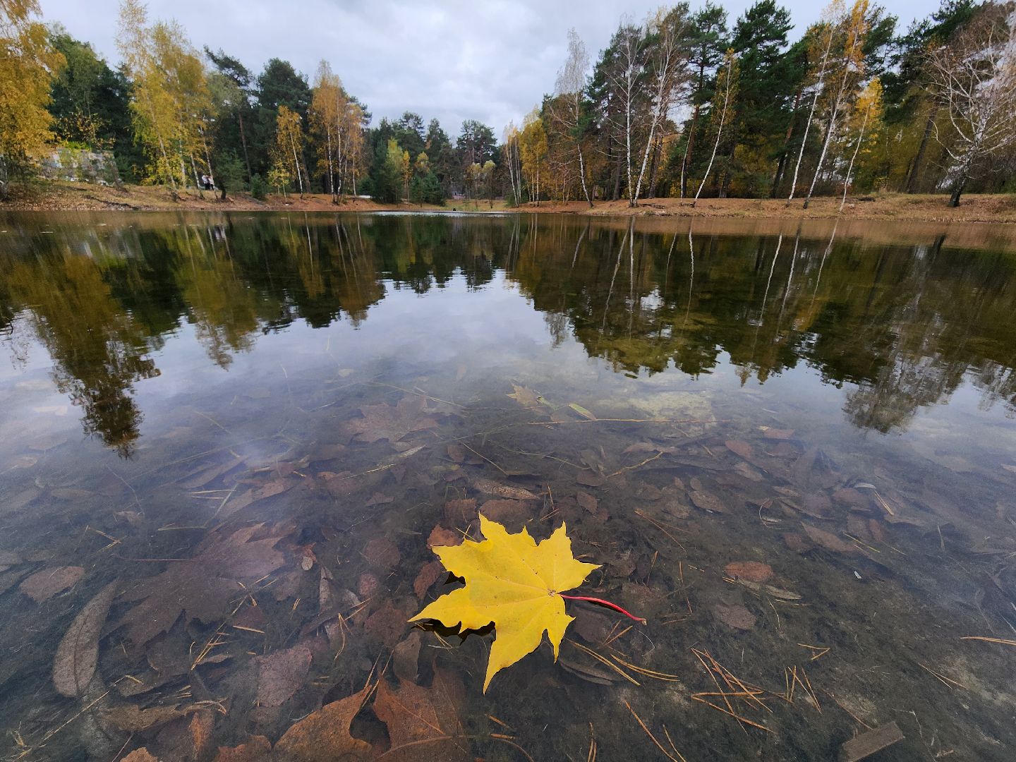 Коломна, благоустройство, очистка водоемов, пруды,
