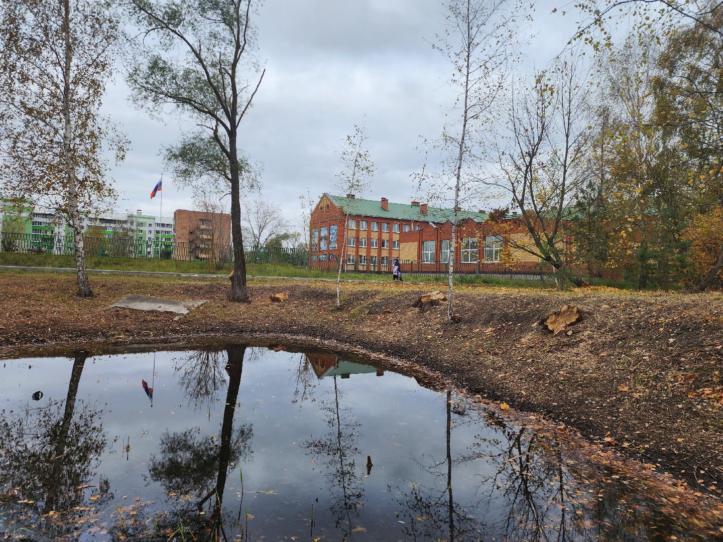 Коломна, благоустройство, очистка водоемов, пруды,