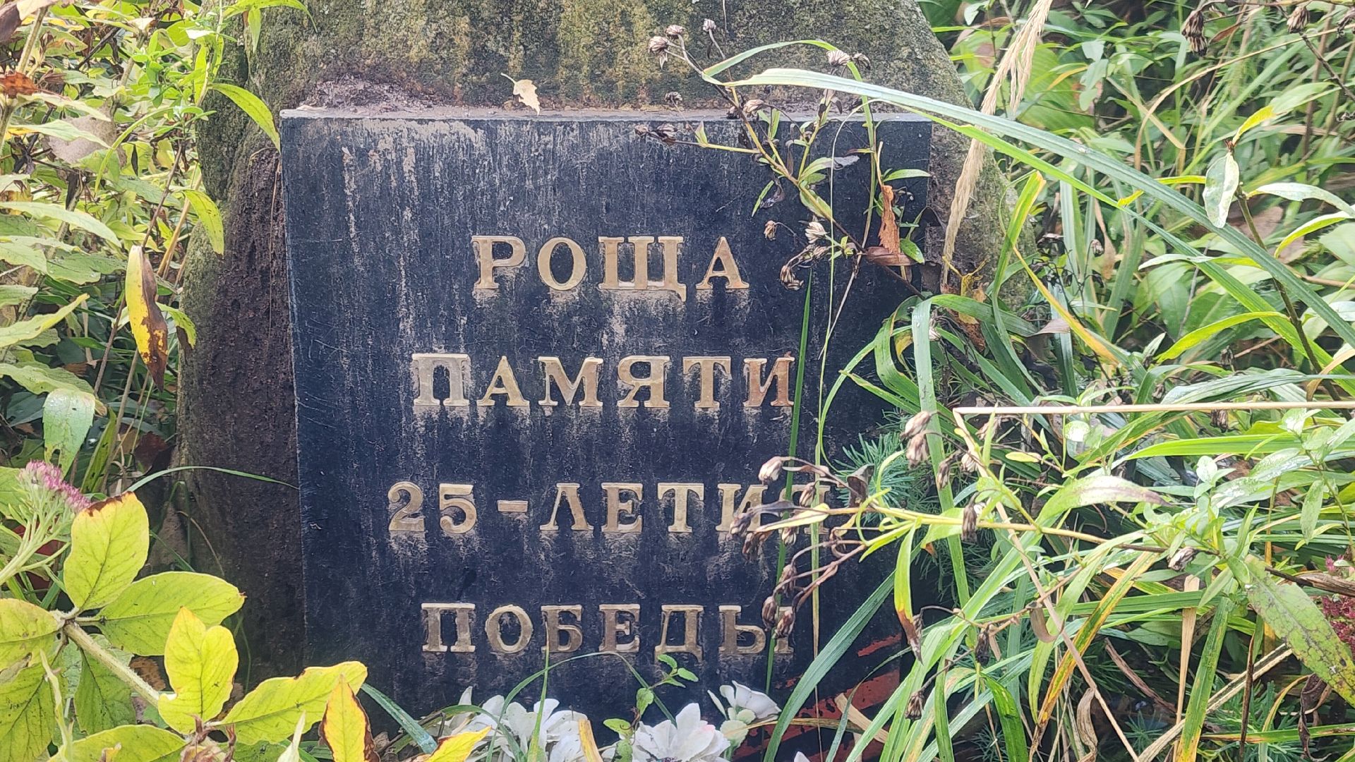 Звенигород, Благоустройство,