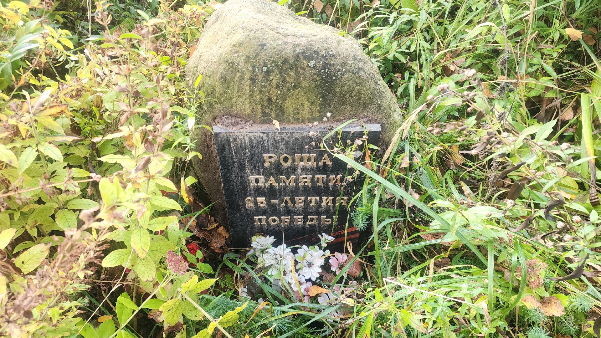 Звенигород, Благоустройство,