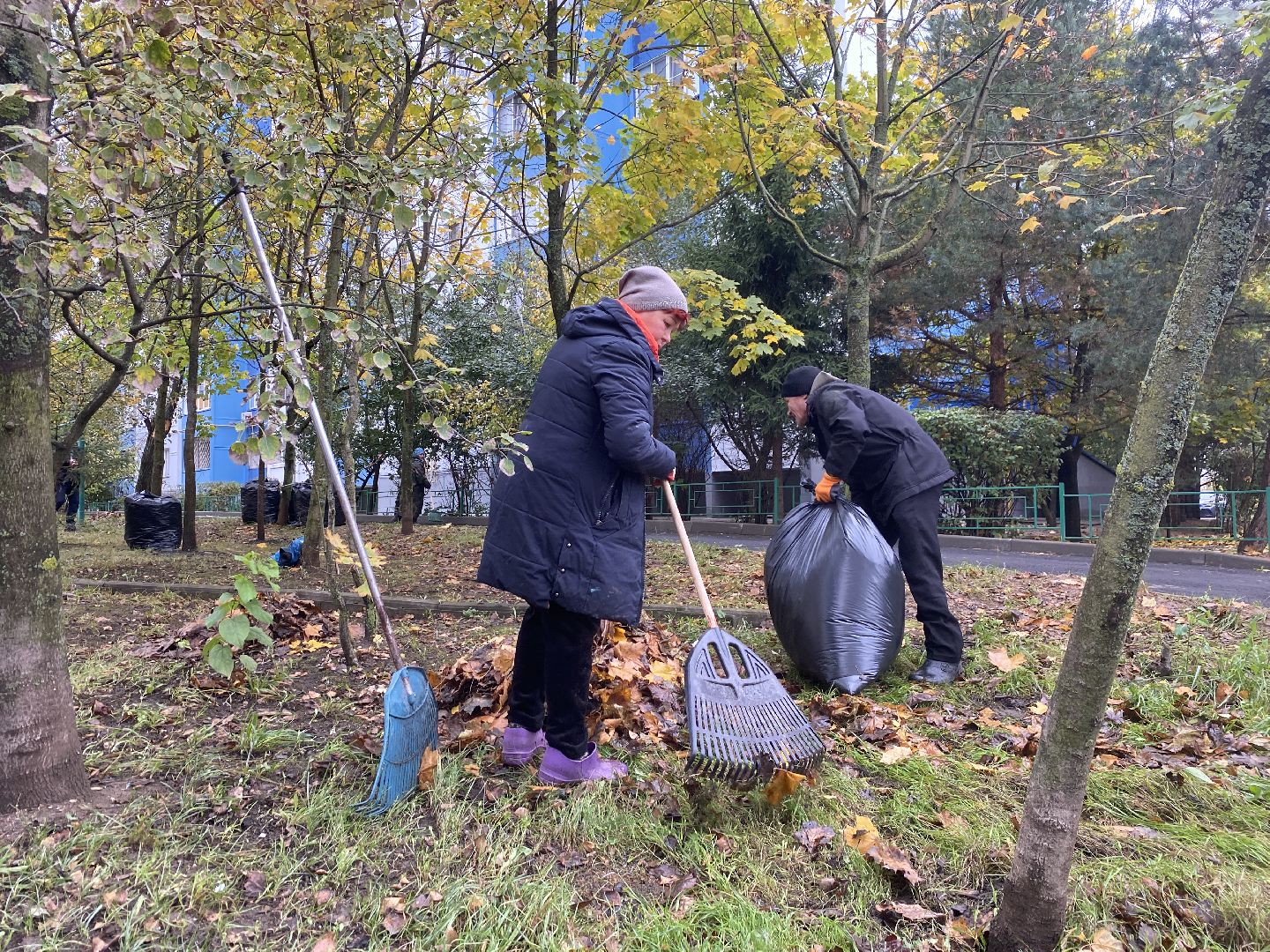 обращения жителей, Власиха благоустройство, обход территории власиха, микрорайон заозерный власиха, благоустройство Заозерного,