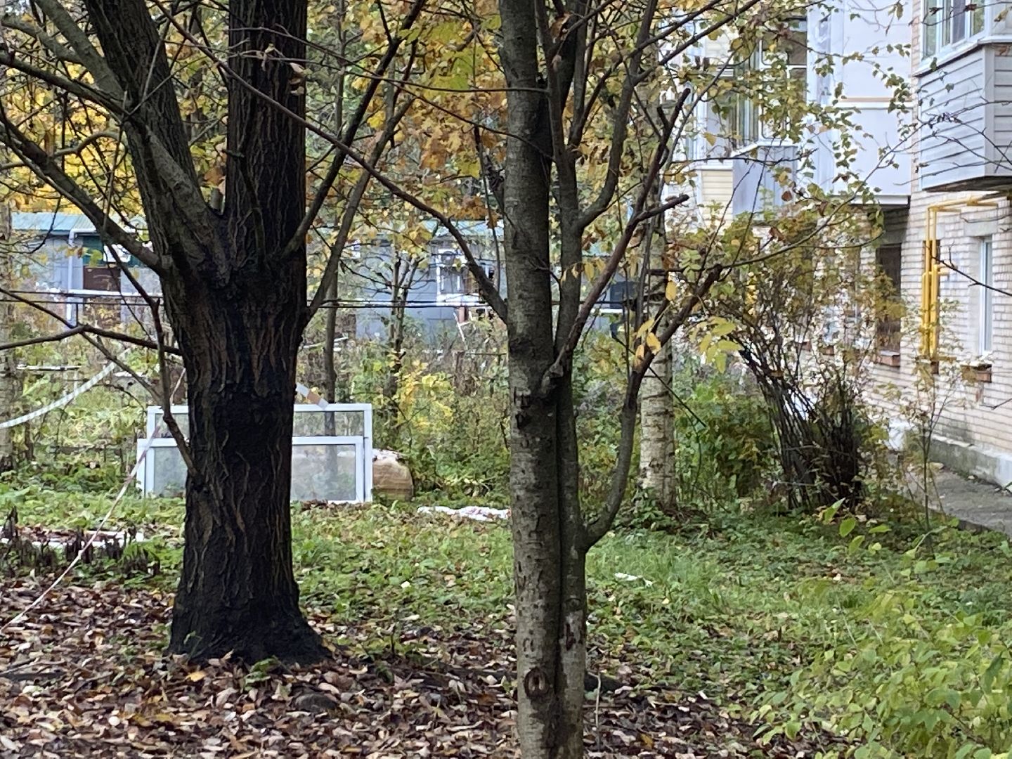 обращения жителей, Власиха благоустройство, обход территории власиха, микрорайон заозерный власиха, благоустройство Заозерного,