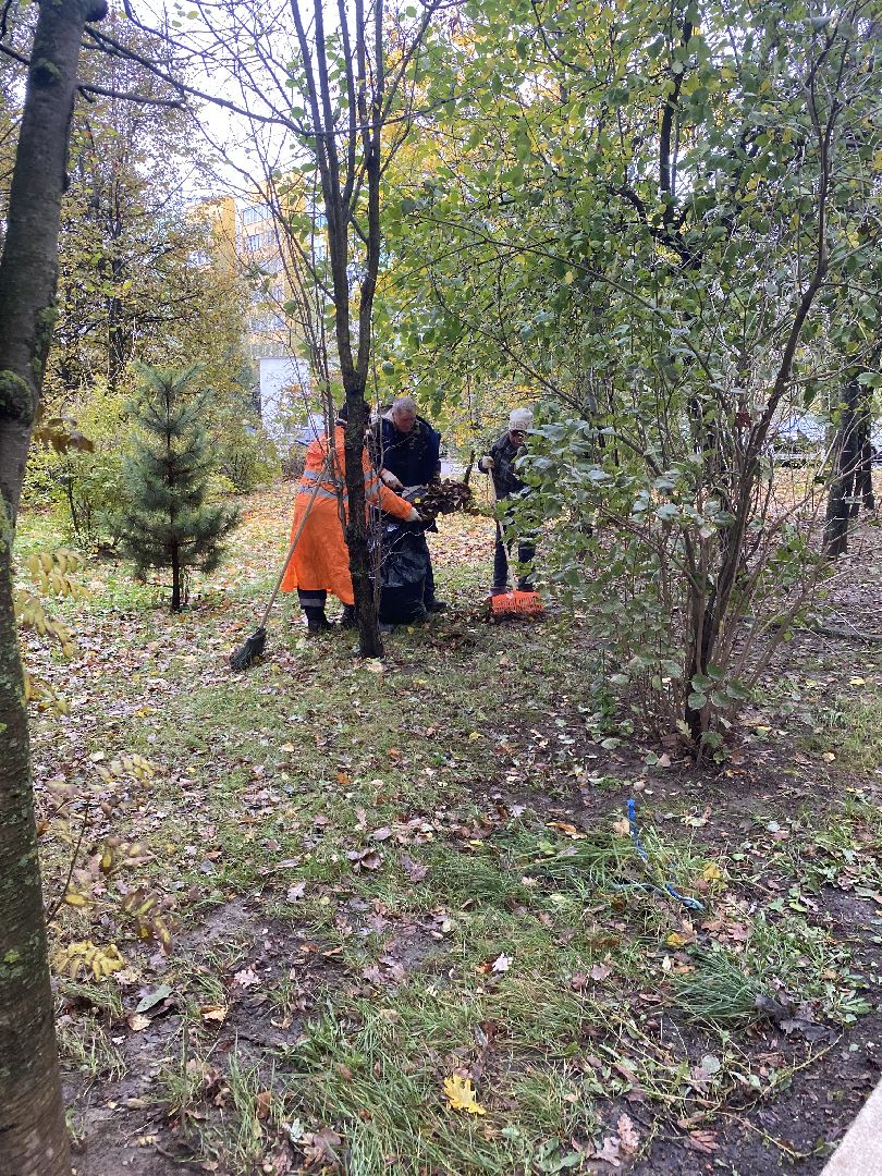 обращения жителей, Власиха благоустройство, обход территории власиха, микрорайон заозерный власиха, благоустройство Заозерного,