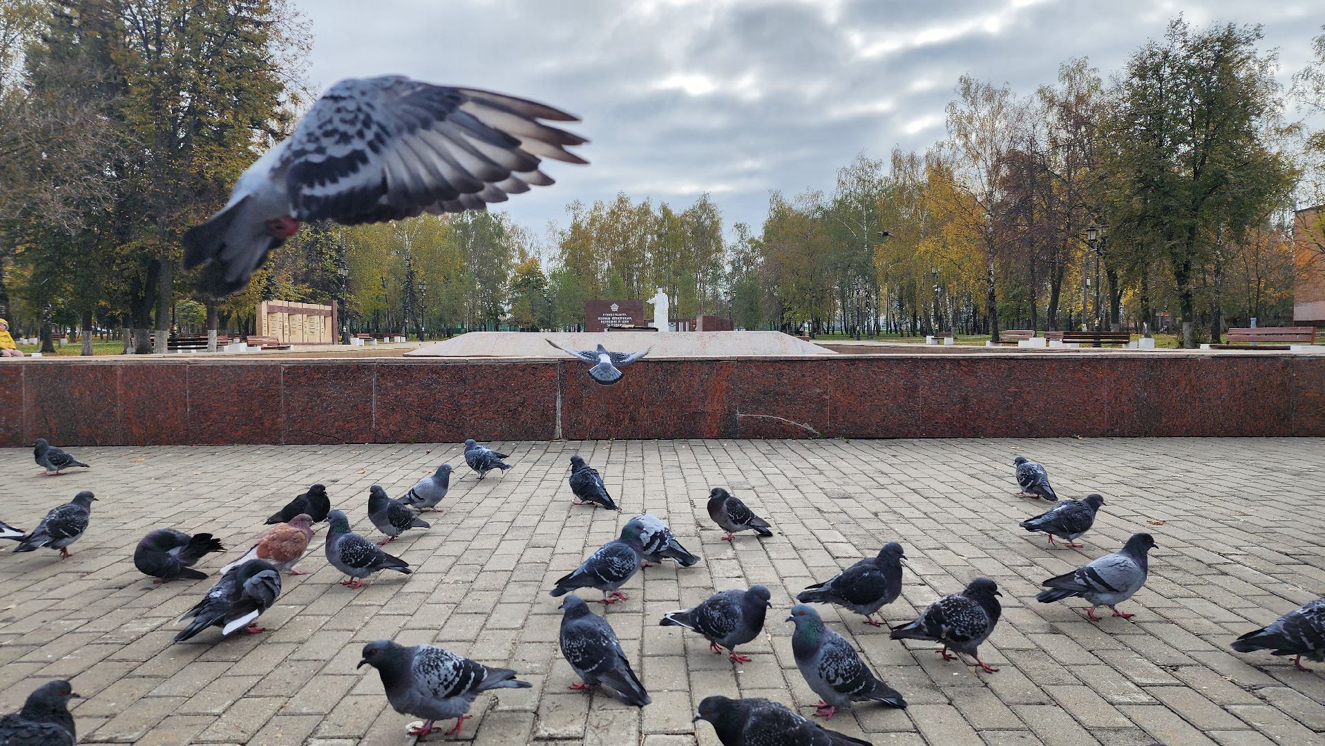 консервация фонтанов, сезон фонтанов, коммунальные службы, Старая Купавна,