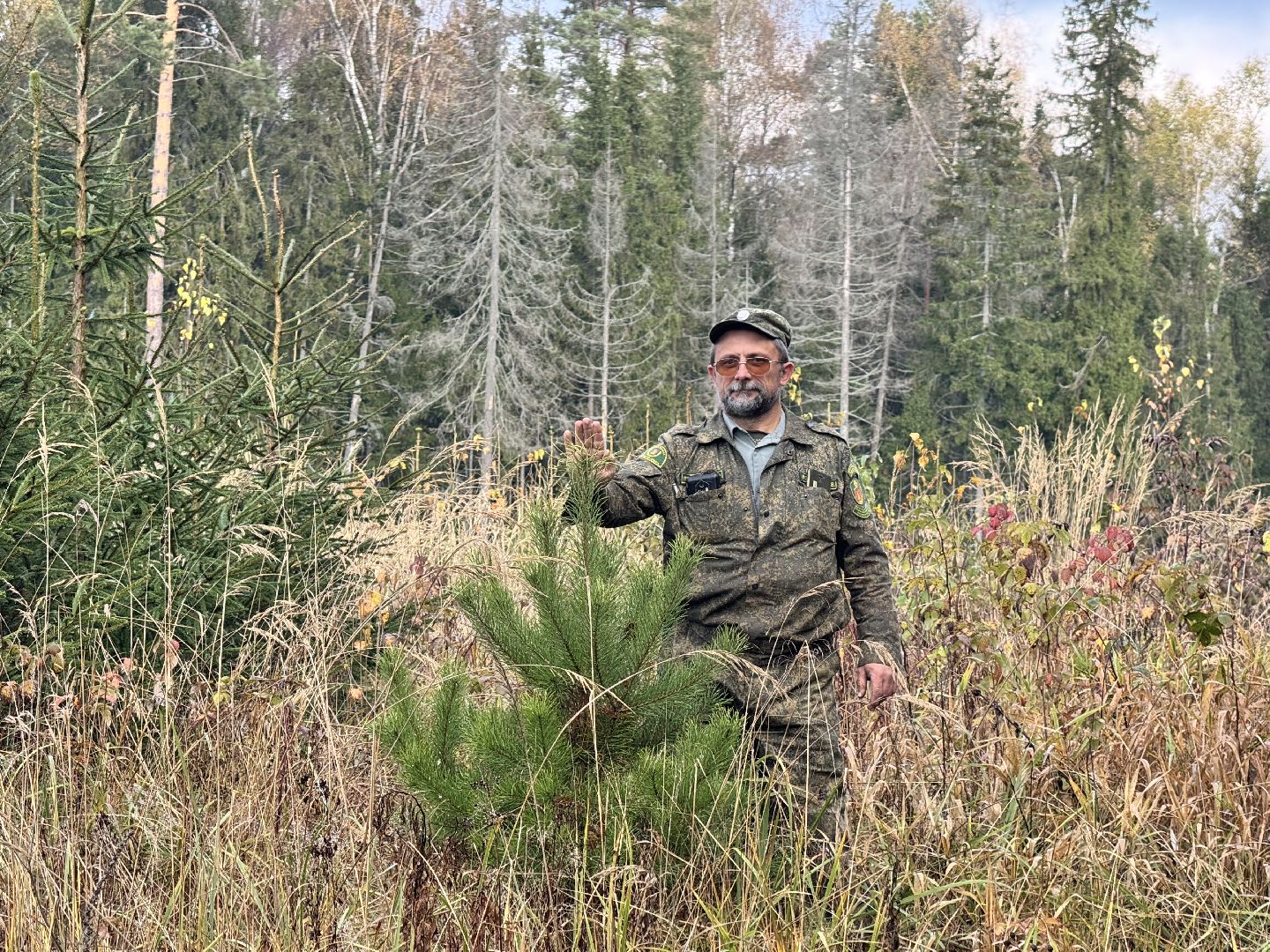 лесничество, урок в лесу, школьное лесничество,