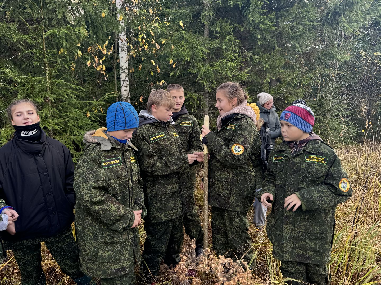 лесничество, урок в лесу, школьное лесничество,