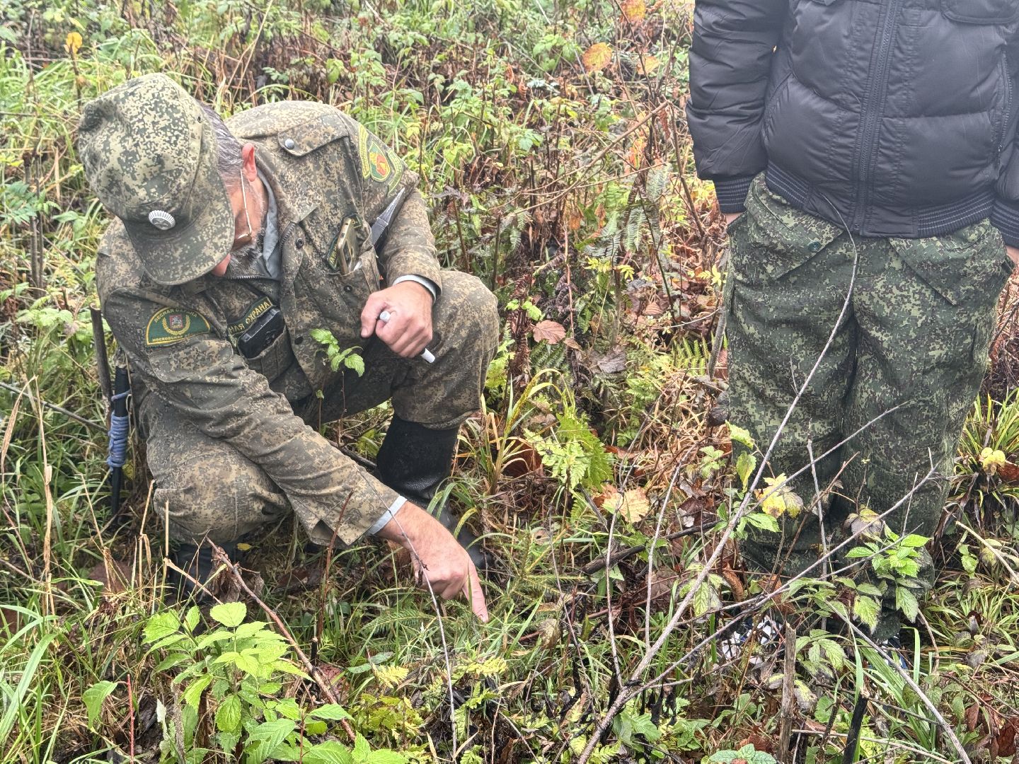 лесничество, урок в лесу, школьное лесничество,