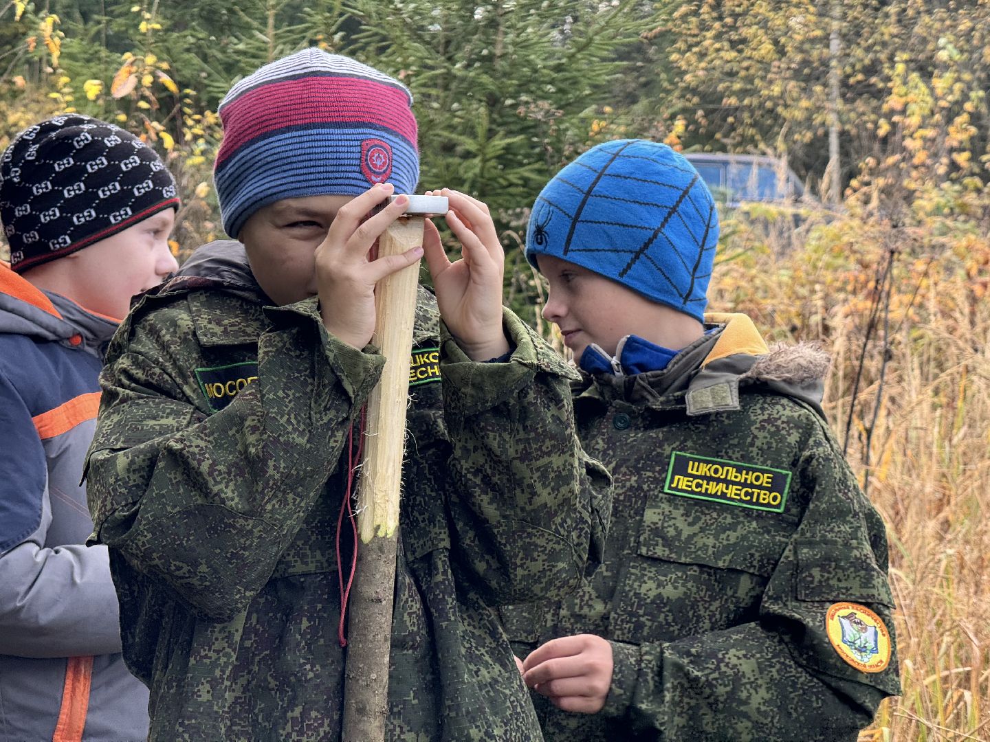 лесничество, урок в лесу, школьное лесничество,