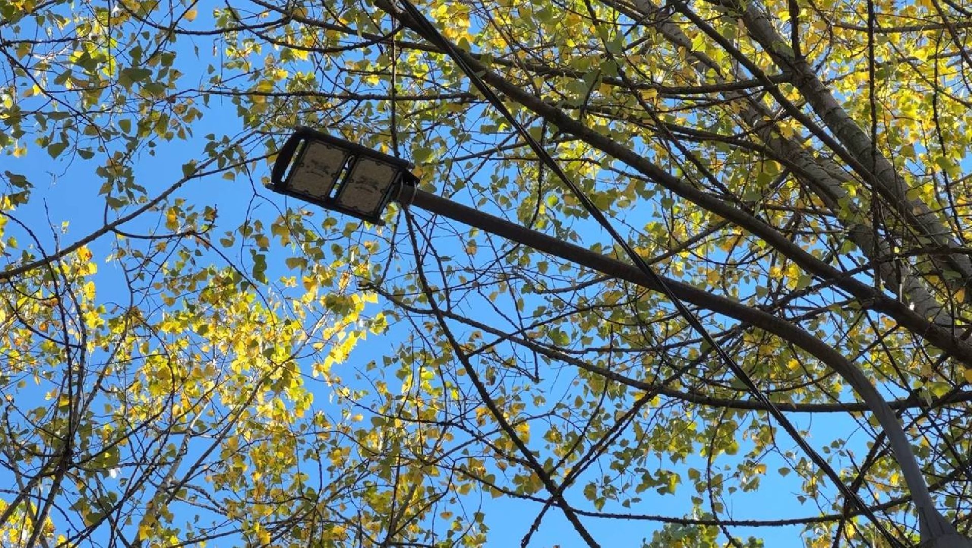 Реутов, благоустройство, добродел, фонари, освещение, освещение улиц, просьбы жителей,