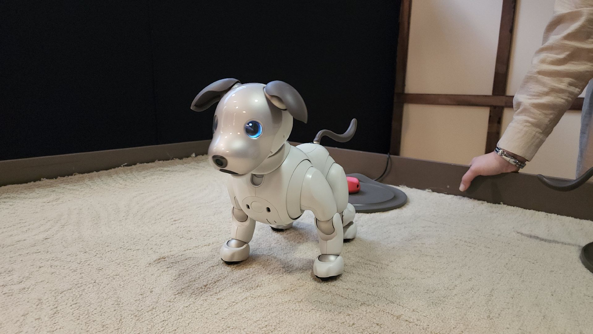 котельники, технологии, город будущего, роботы, инновации,