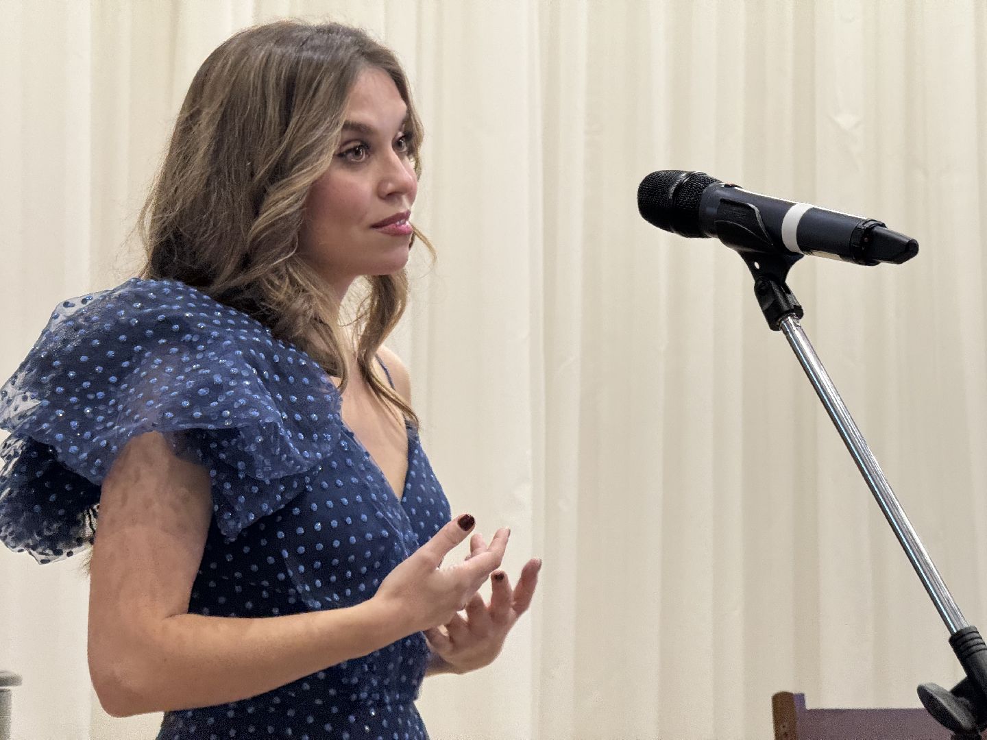 шаховская, концерт, фестиваль, музыкальный вечер,