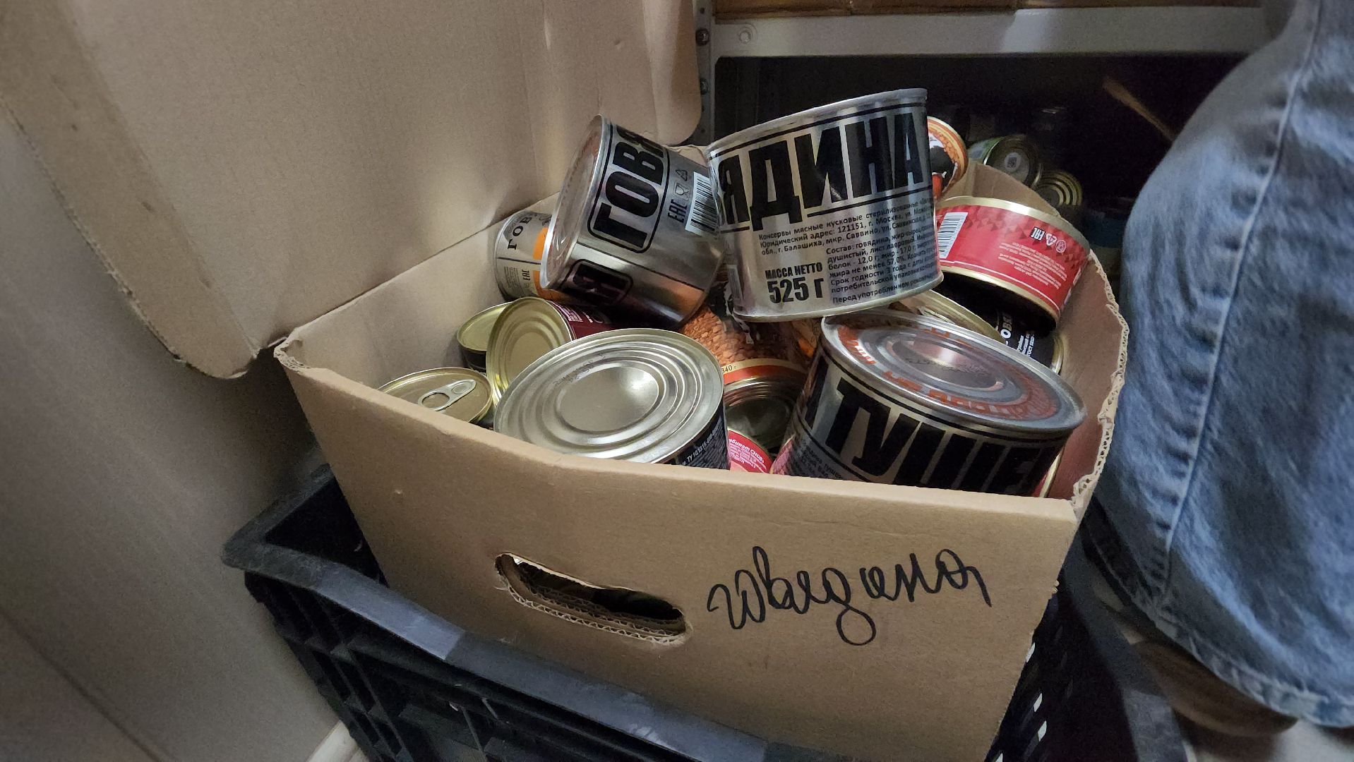 день добрых дел, Лобня, сво,