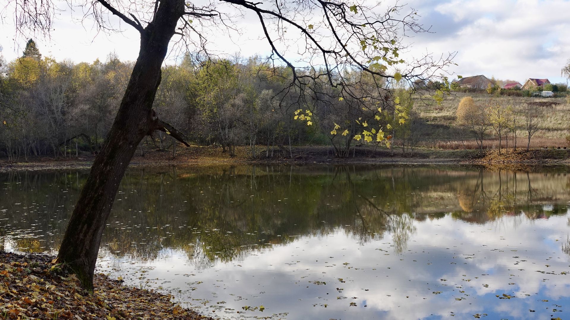 Экология, Сергиево-Посадский городской округ, Очистка прудов, По просьбам жителей,