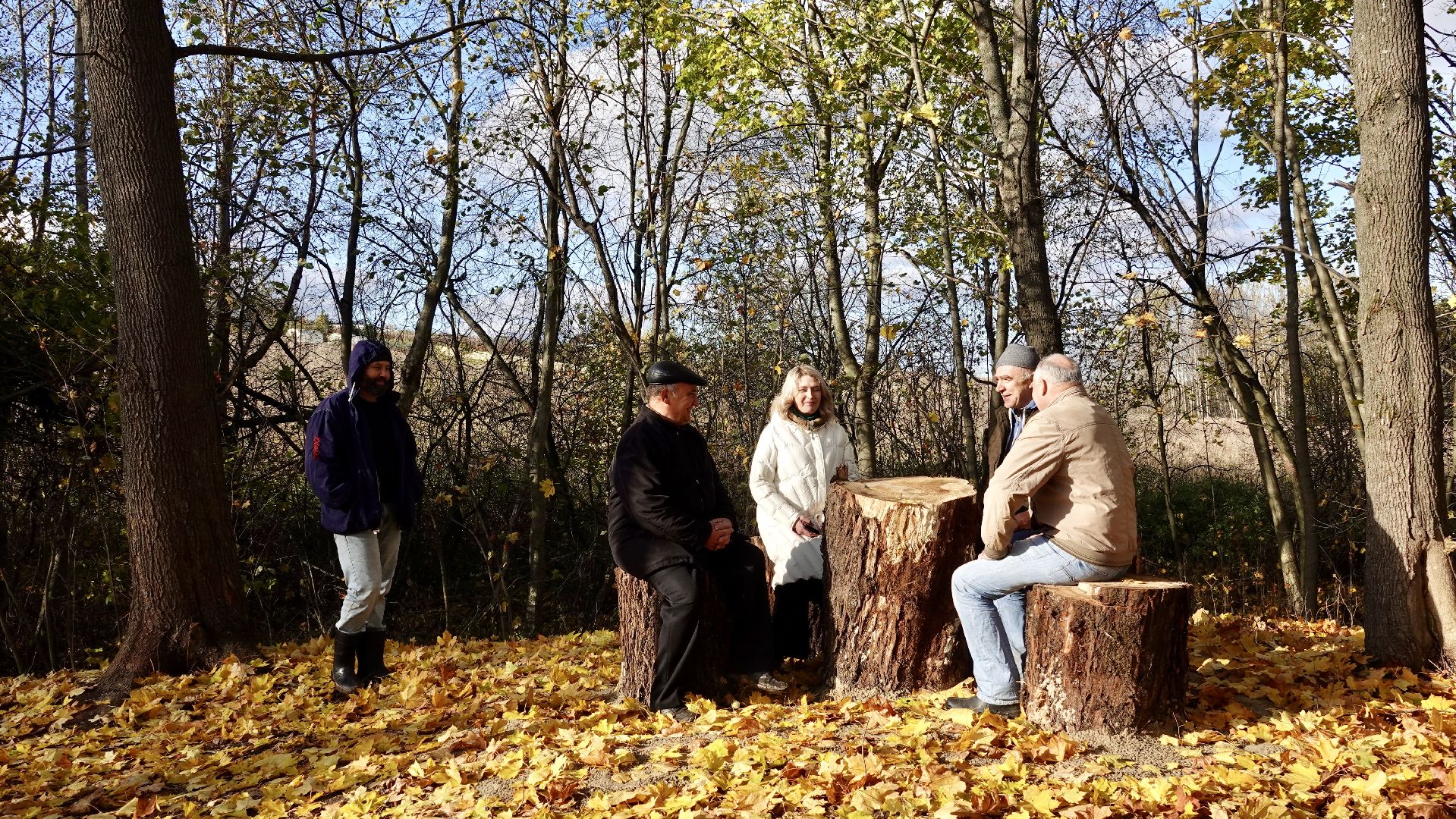 Экология, Сергиево-Посадский городской округ, Очистка прудов, По просьбам жителей,