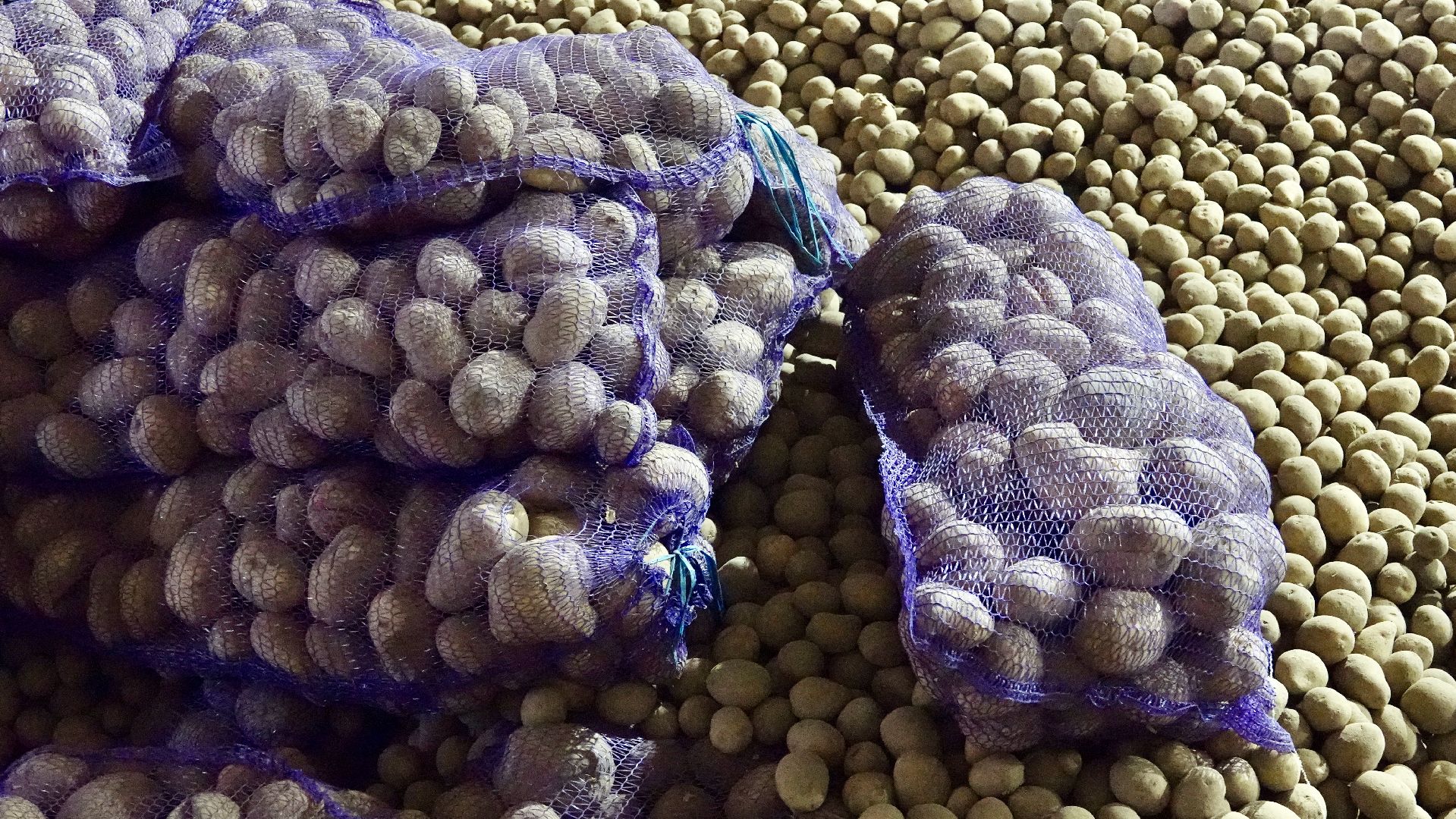 Сергиево-Посадский городской округ, Кузьмино, Сельское хозяйство, Инновации,