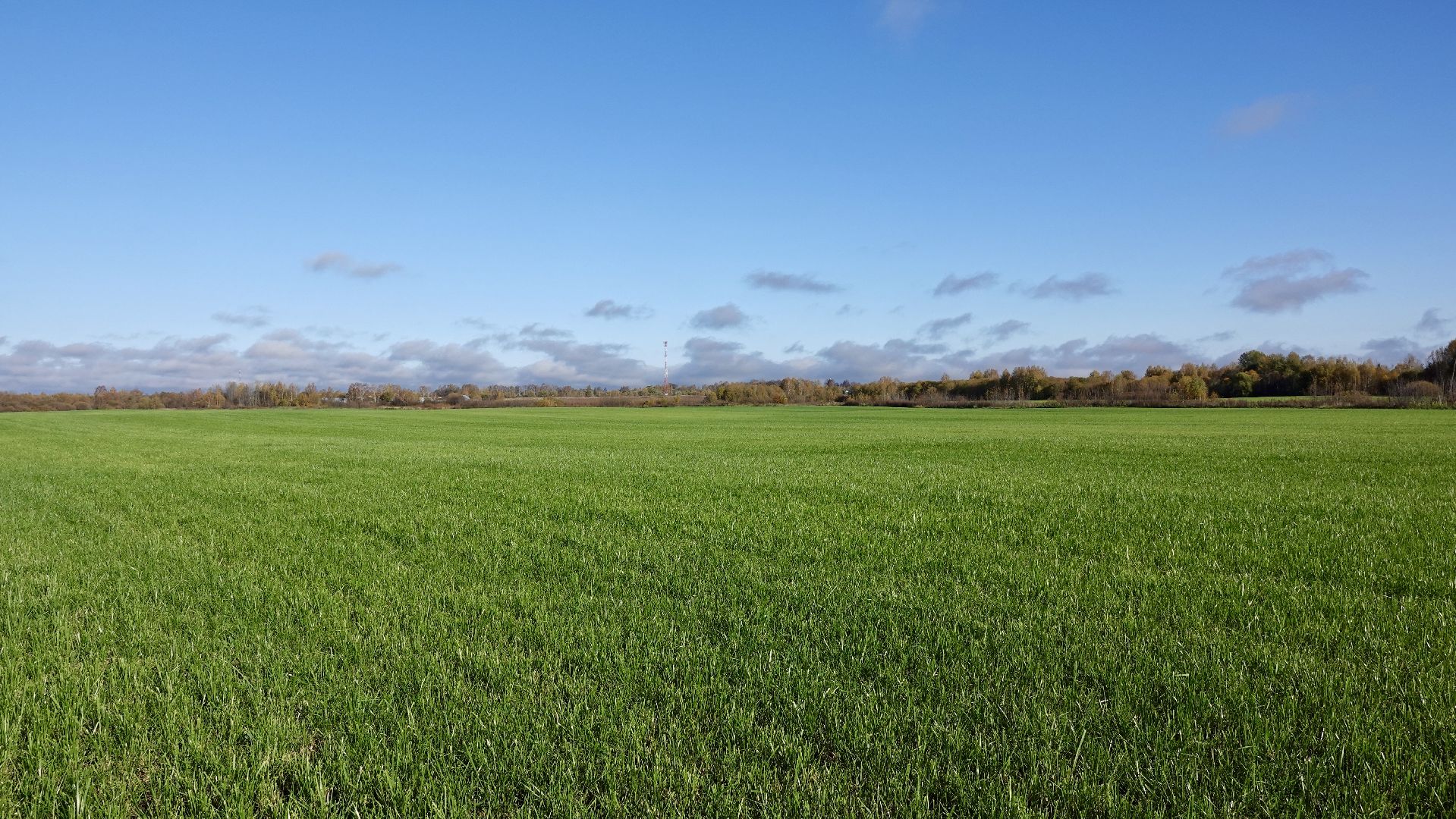 Сергиево-Посадский городской округ, Кузьмино, Сельское хозяйство, Инновации,