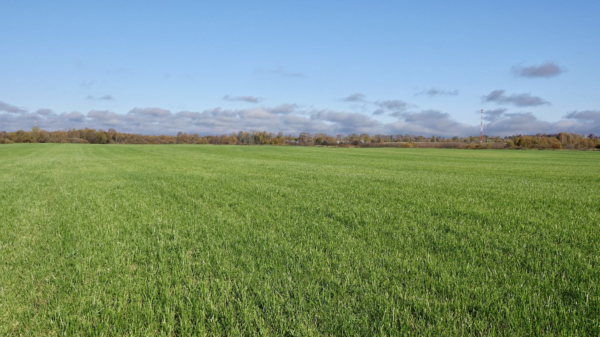 Сергиево-Посадский городской округ, Кузьмино, Сельское хозяйство, Инновации,