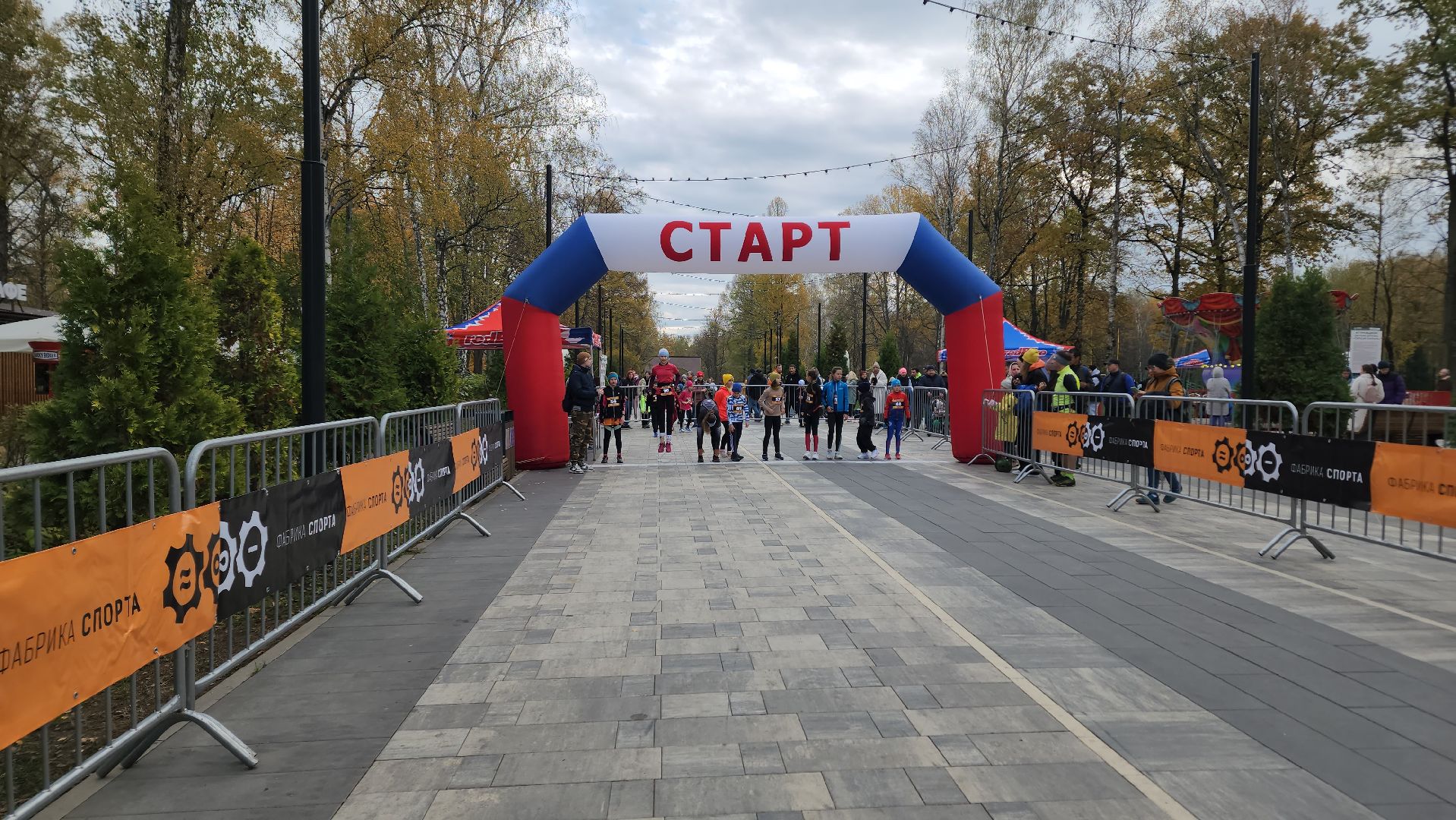 ступино, краски леса, спорт в подмосковье, полумарафон,